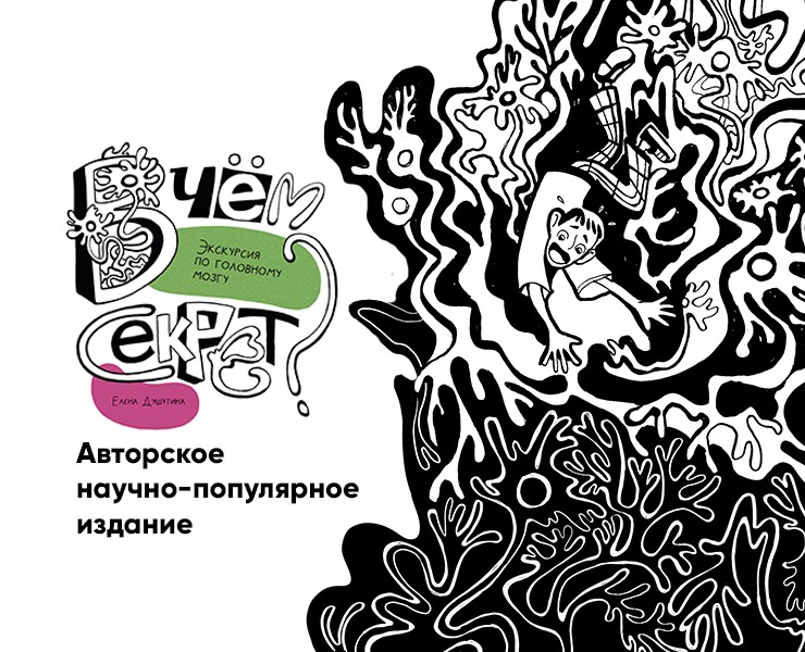 "В чём секрет? Экскурсия по головному мозгу" авторская книга на Dprofile