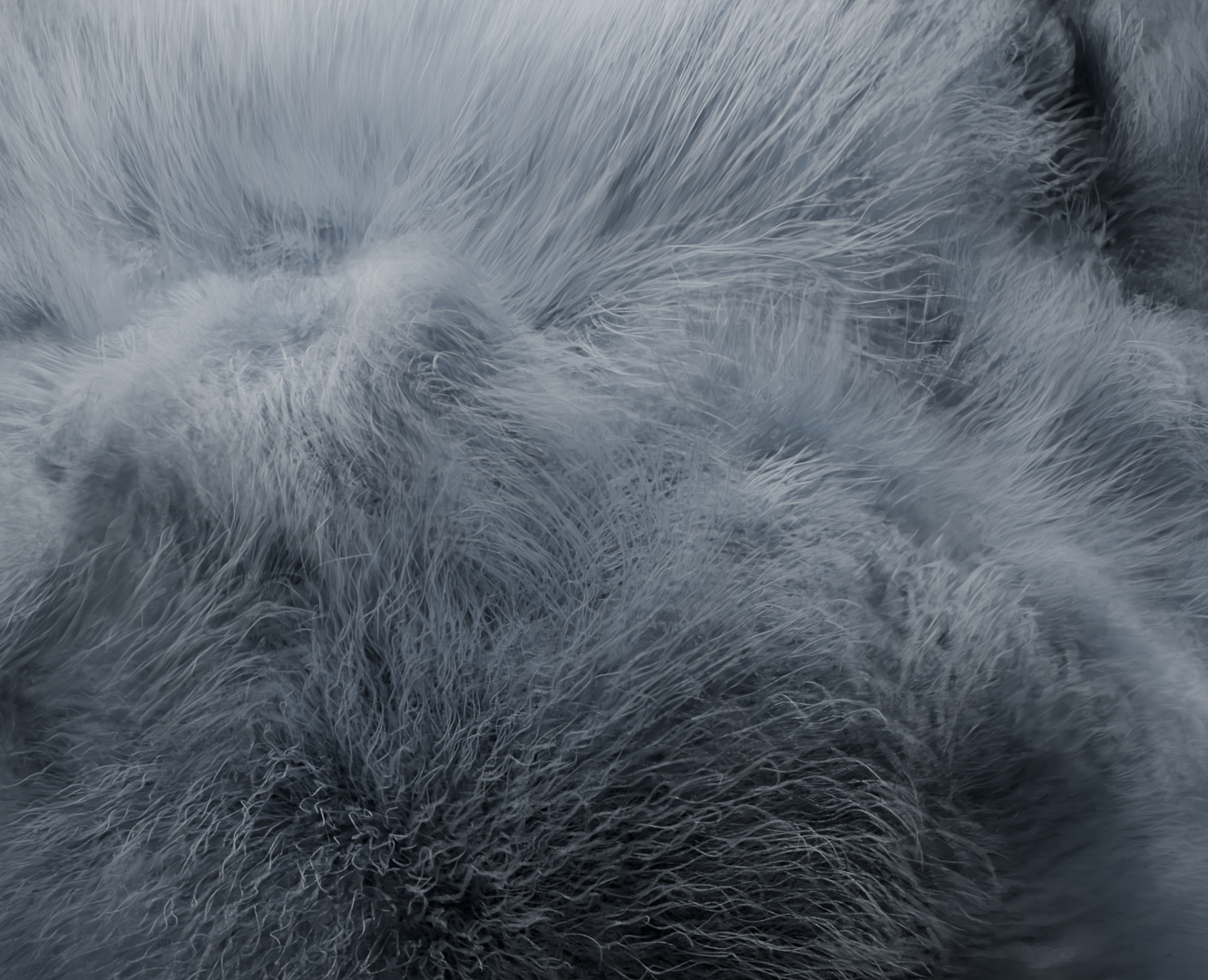 Fluffy Blob на Dprofile