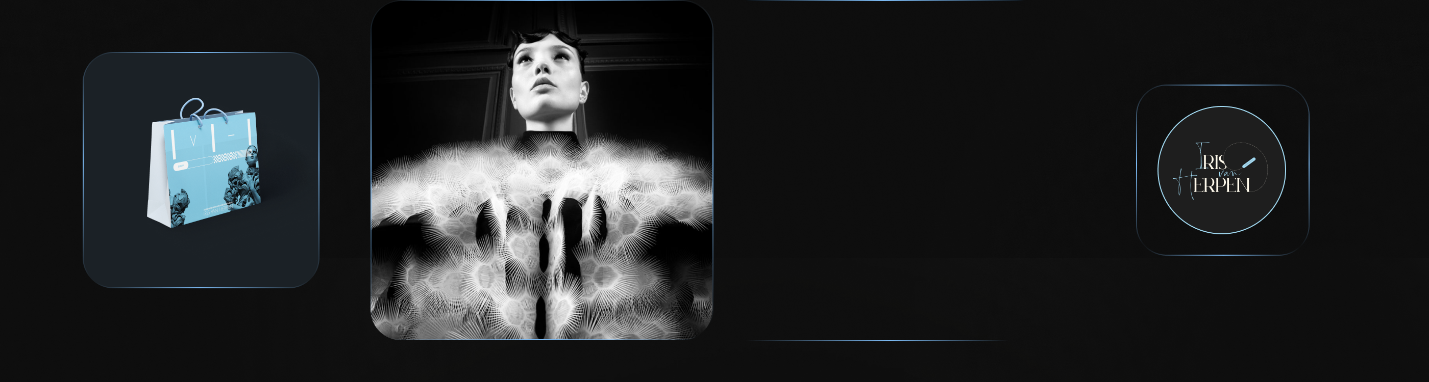 IRIS VAN HERPEN | E-COM — Изображение №5 — Интерфейсы на Dprofile