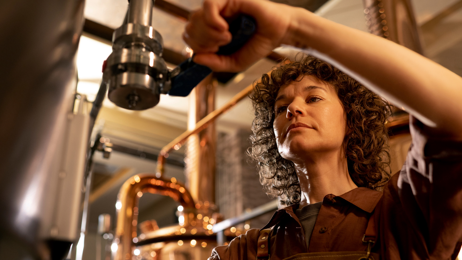 Хмельной Дон | лого пивоварни — Изображение №7 — Брендинг, Иллюстрация на Dprofile