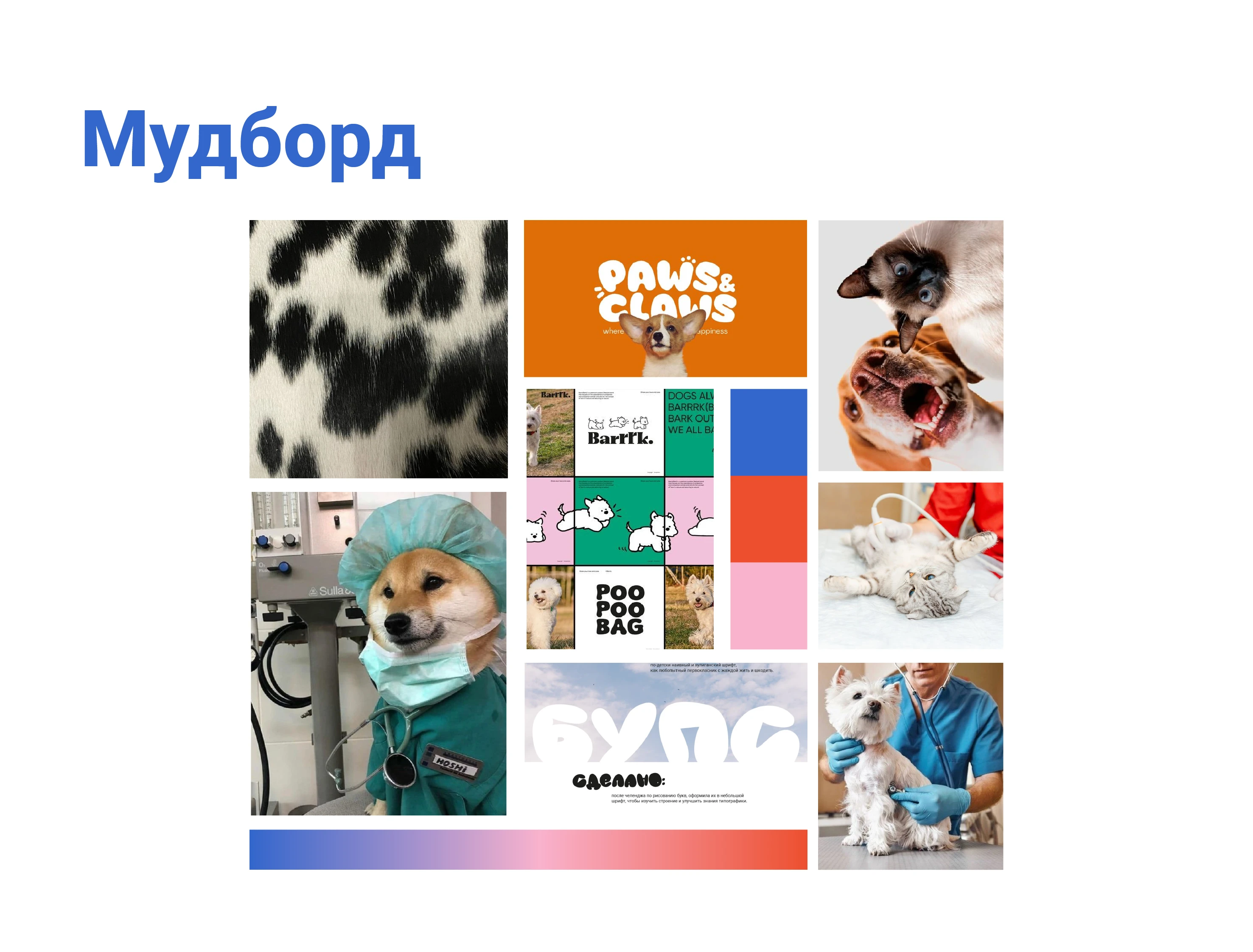 Адель. Ребрендинг ветеринарной клиники. — Изображение №2 — Брендинг на Dprofile