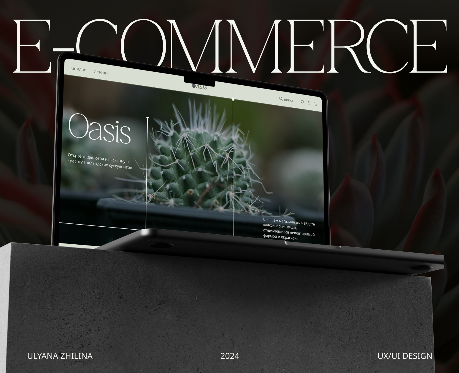 Oasis | E-commerce website design concept — Интерфейсы на Dprofile