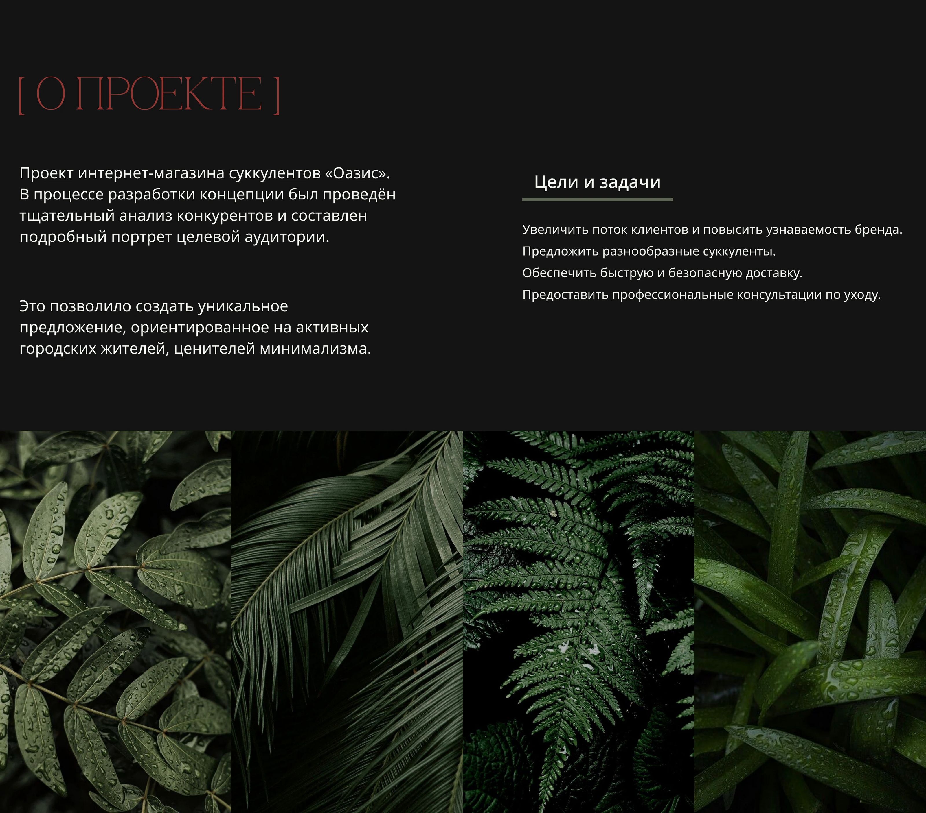 Oasis | E-commerce website design concept — Изображение №2 — Интерфейсы на Dprofile
