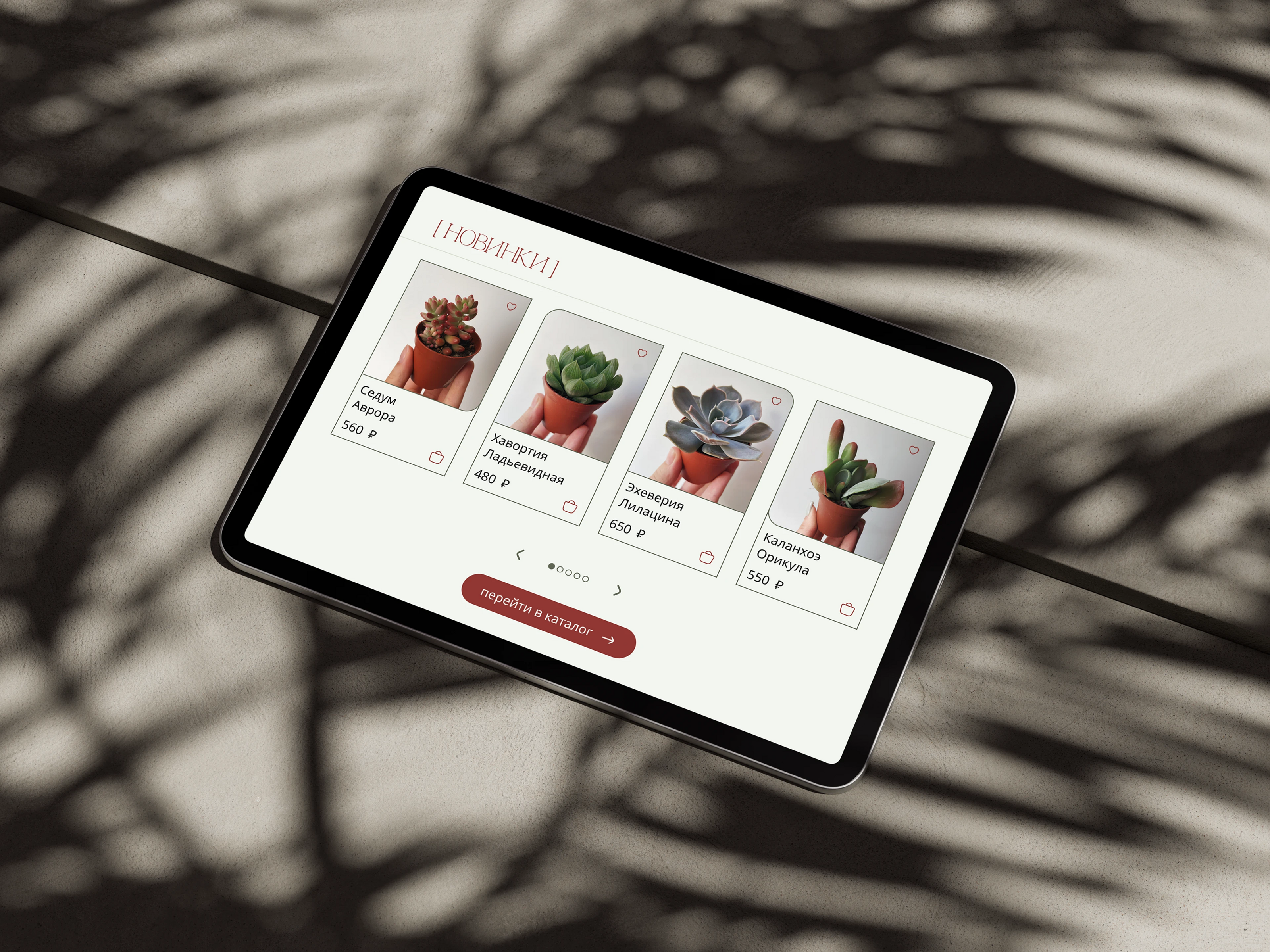Oasis | E-commerce website design concept — Изображение №4 — Интерфейсы на Dprofile