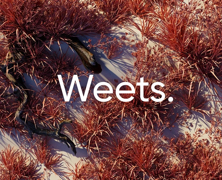 Ui Анимация. Weets furniture — Анимация на Dprofile