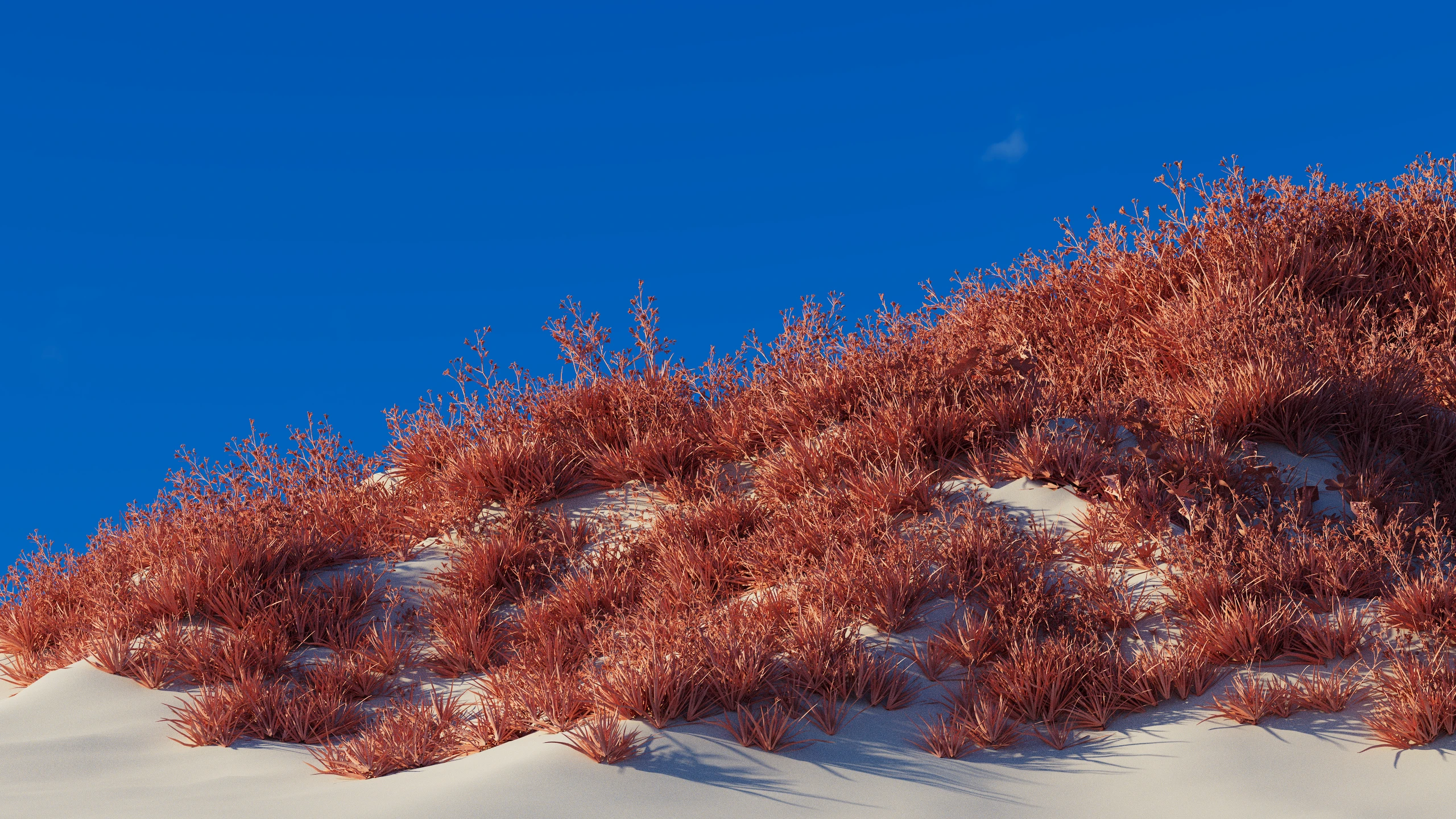 Ui Анимация. Weets furniture — Изображение №2 — Анимация на Dprofile