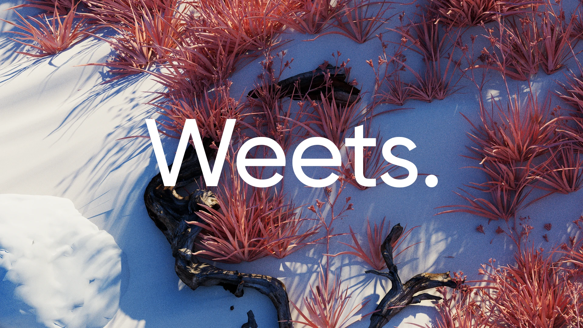 Ui Анимация. Weets furniture — Изображение №3 — Анимация на Dprofile