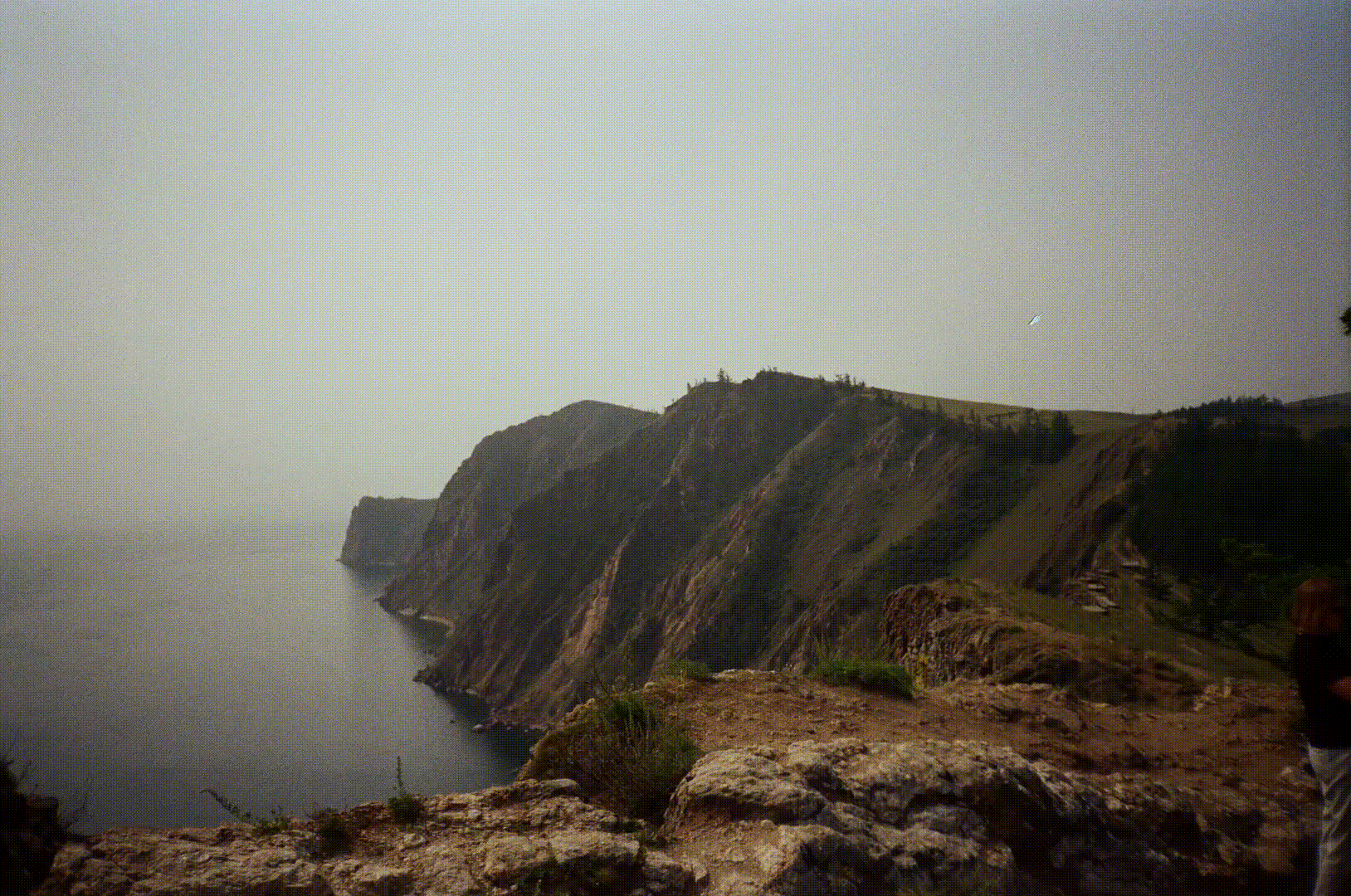 Бренд кедровых конфет «Кедра» — Изображение №11 — Брендинг на Dprofile