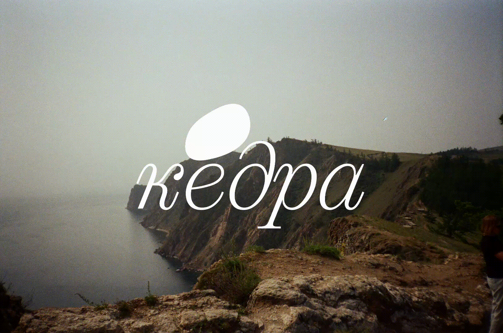 Бренд кедровых конфет «Кедра» — Изображение №2 — Брендинг на Dprofile