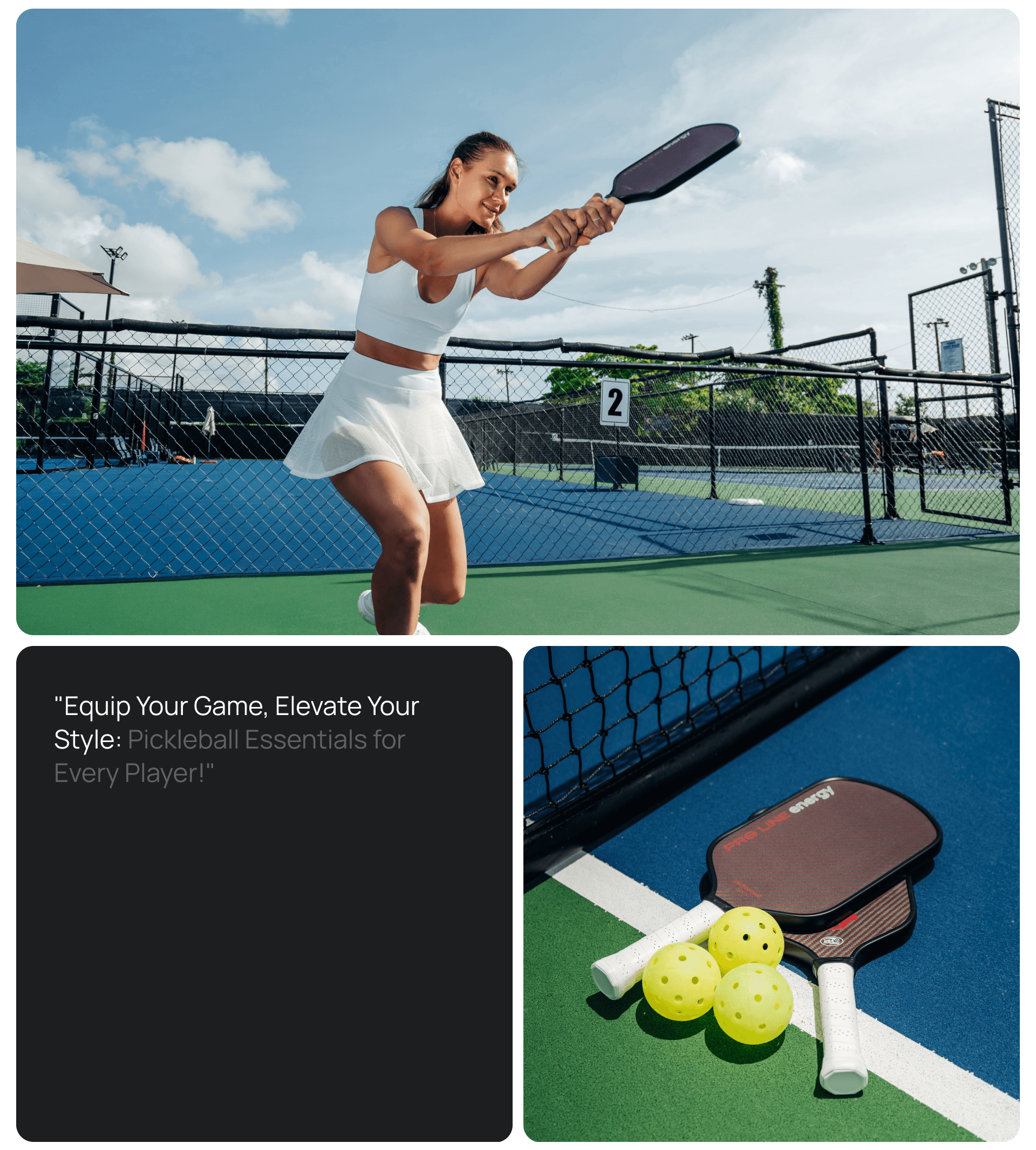 Pickleball APES — Изображение №8 — Интерфейсы, Брендинг на Dprofile