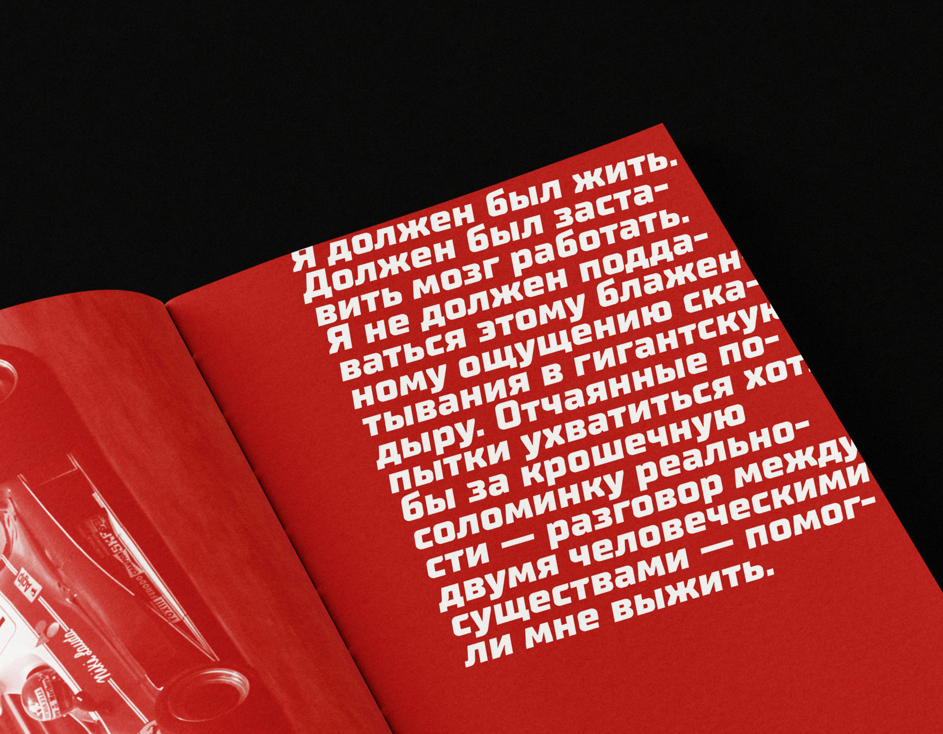 Ники Лауда. В ад и обратно — Изображение №17 — Графика на Dprofile