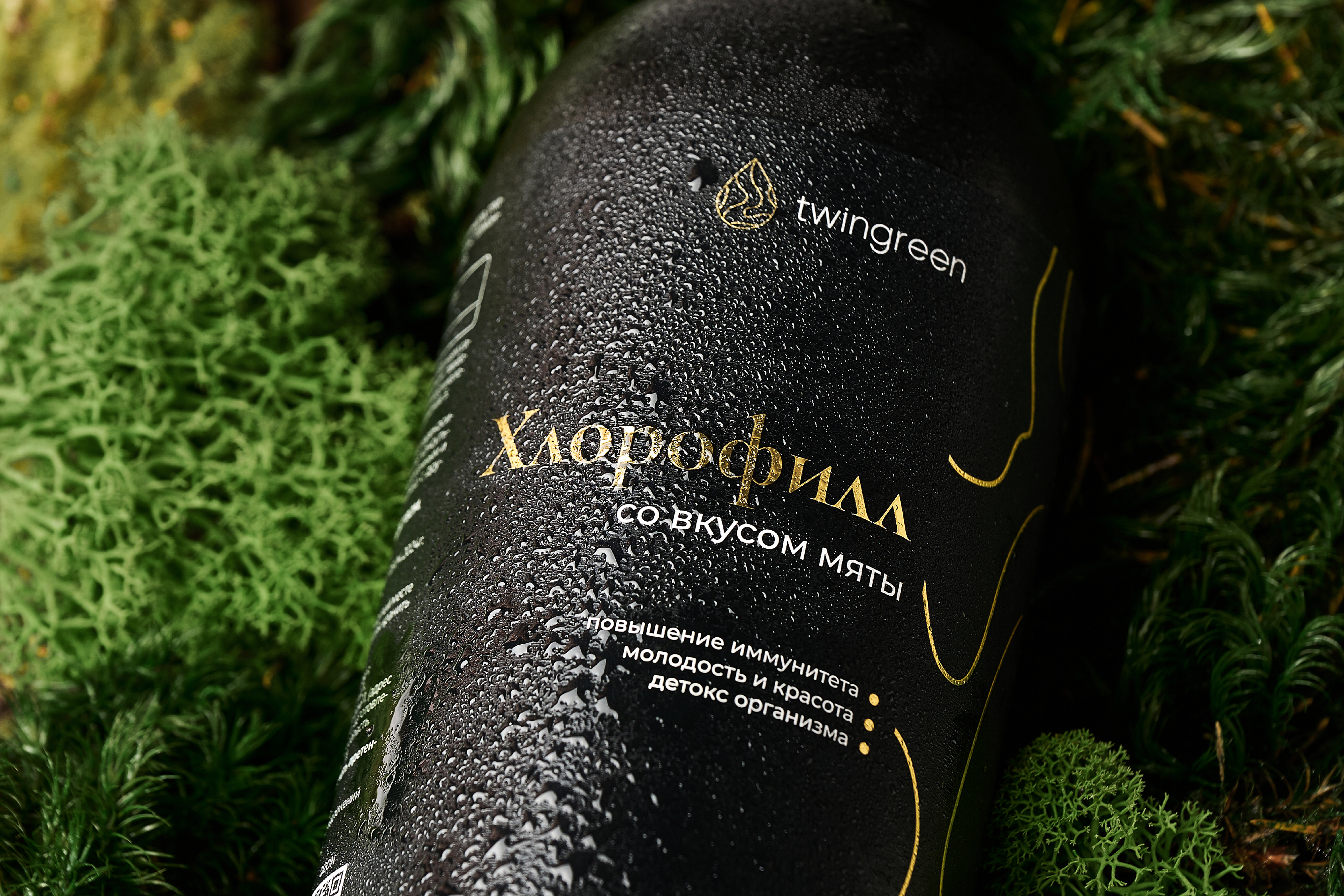 Дизайн упаковки и логотипа l Packaging and logo design — Изображение №4 — Брендинг на Dprofile