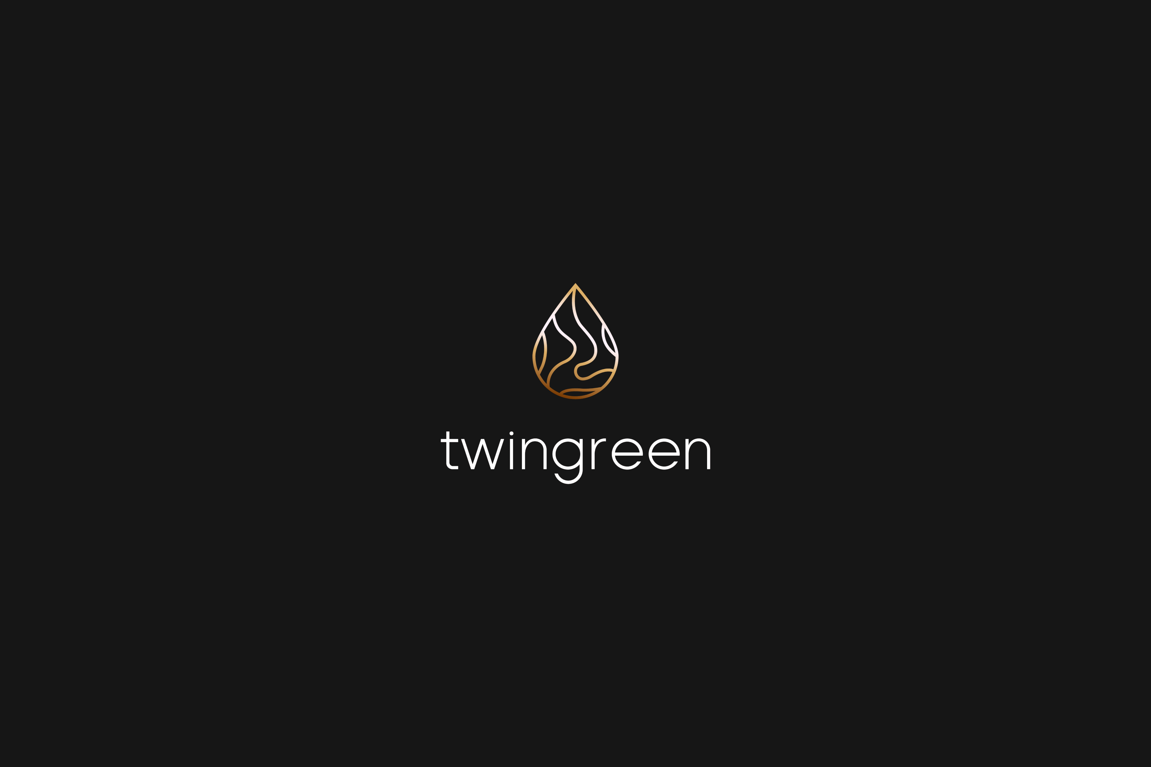 Дизайн упаковки и логотипа l Packaging and logo design — Изображение №1 — Брендинг на Dprofile