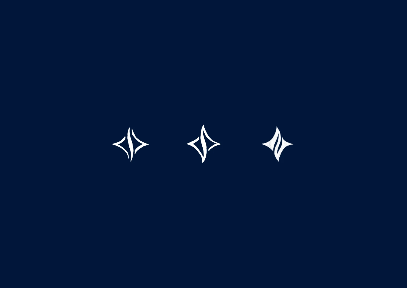 Nord Star Coffee — Изображение №4 — Брендинг, Иллюстрация на Dprofile