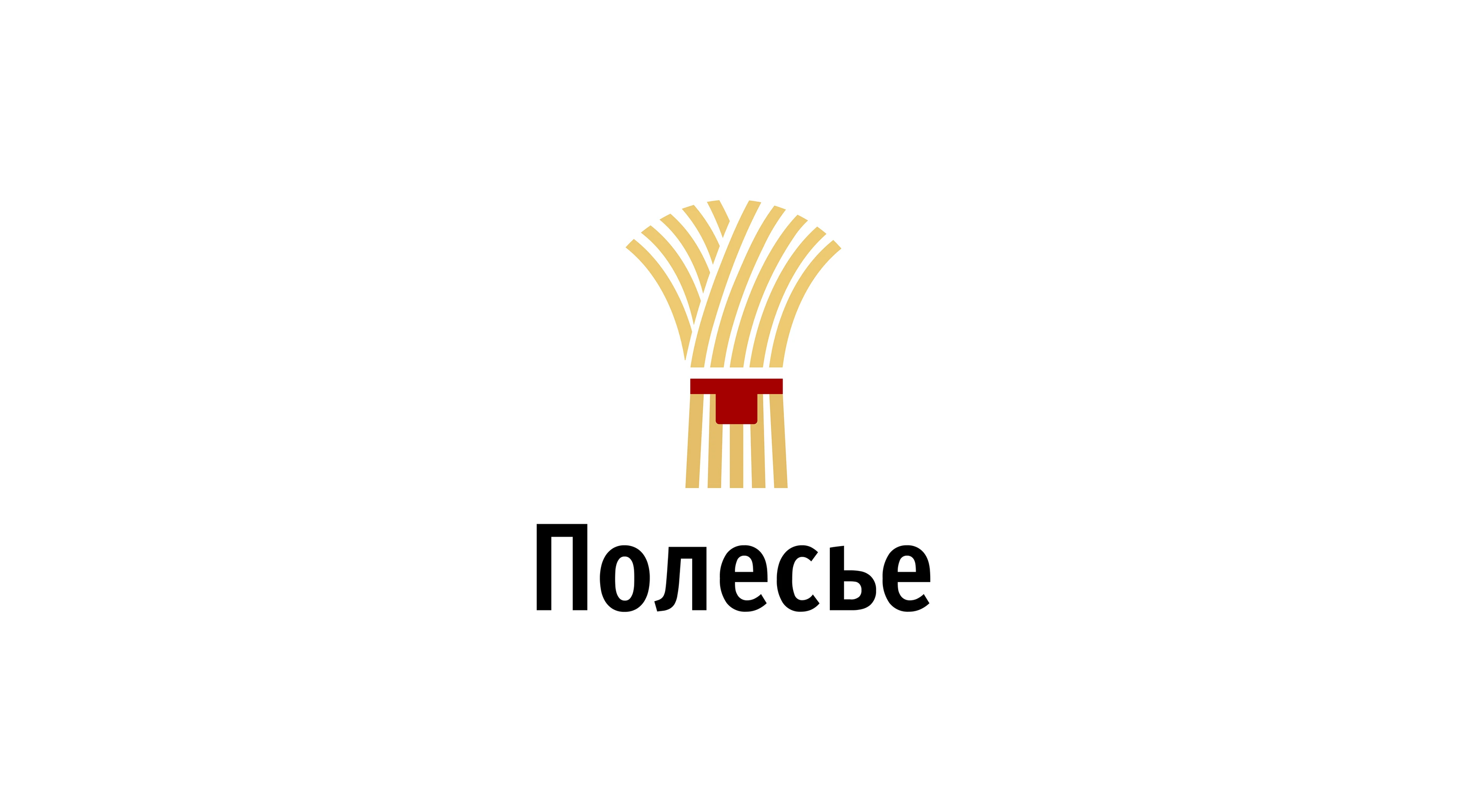 Полесье - фирменный стиль и брендбук — Изображение №5 — Брендинг на Dprofile