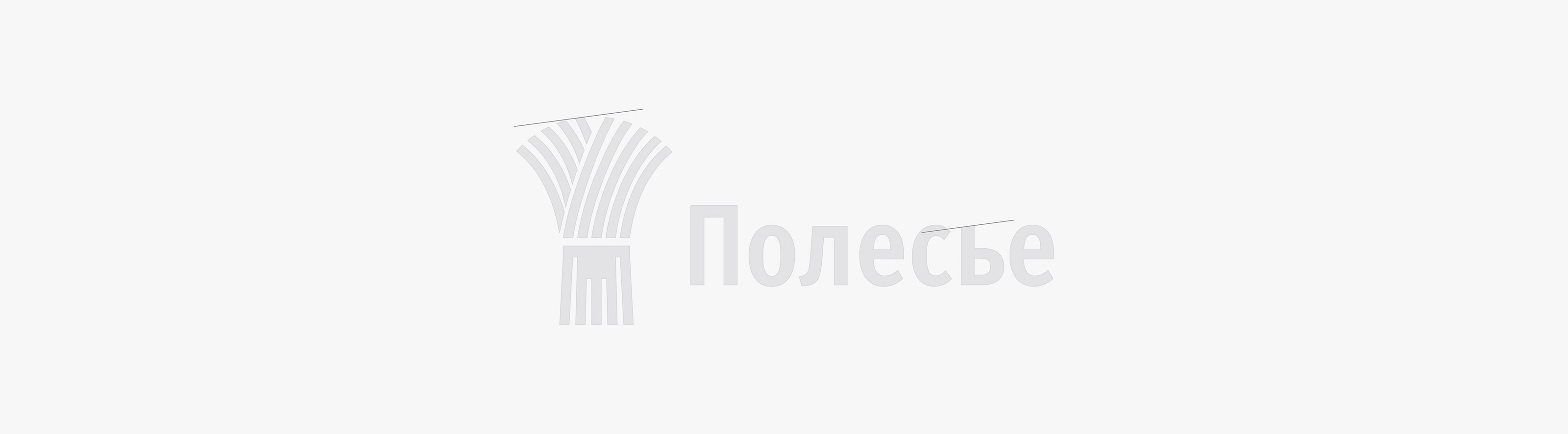 Полесье - фирменный стиль и брендбук — Изображение №7 — Брендинг на Dprofile