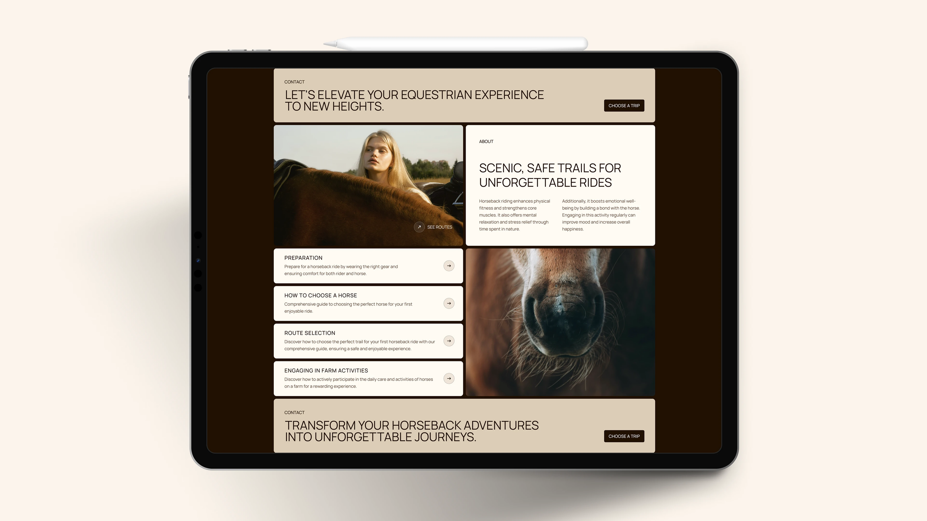 Grace Stables/ Сайт для компании конных прогулок — Изображение №6 — Интерфейсы на Dprofile