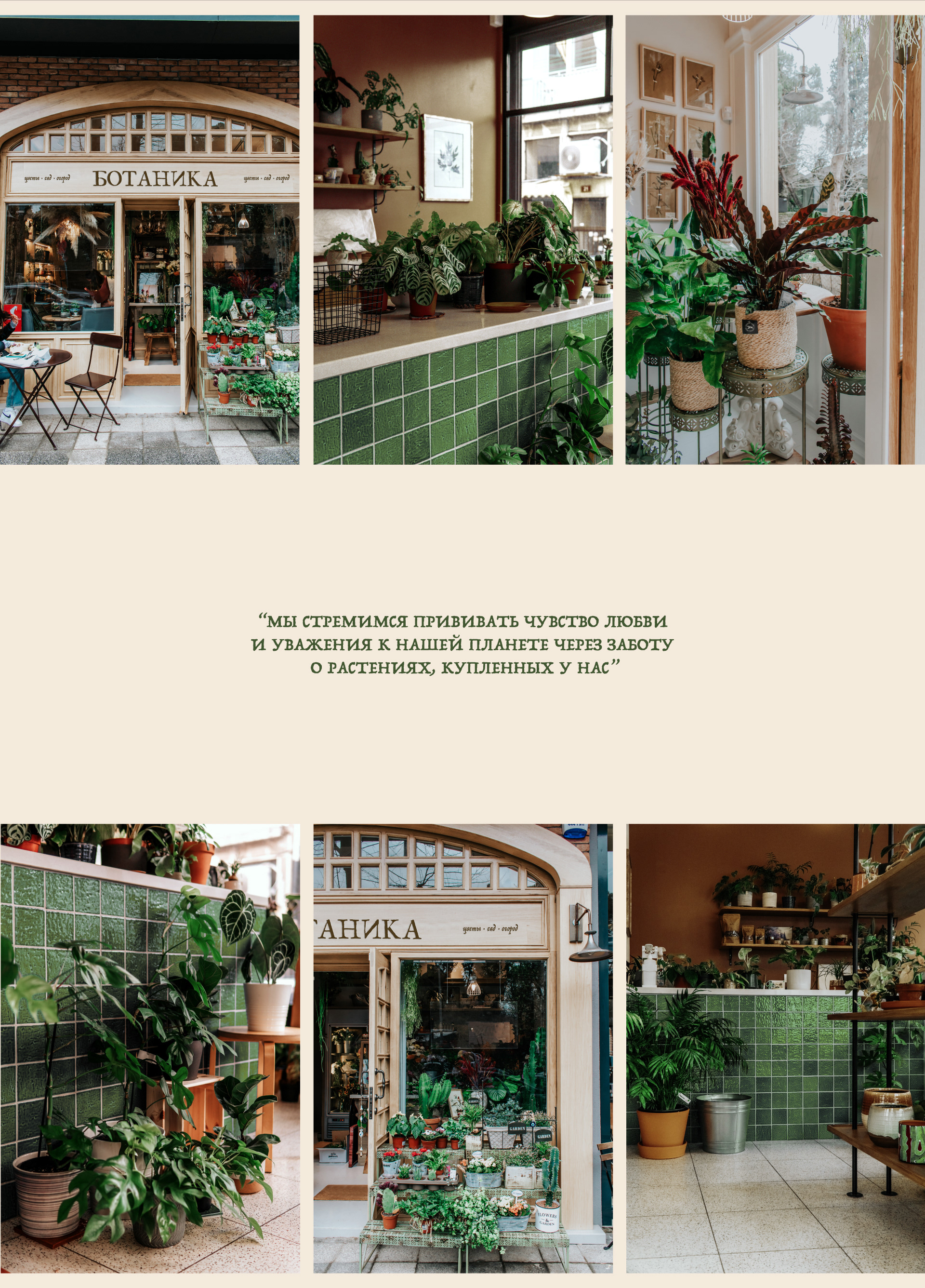 Фирменный стиль Логотип | Цветочный магазин Flower shop — Изображение №4 — Брендинг на Dprofile