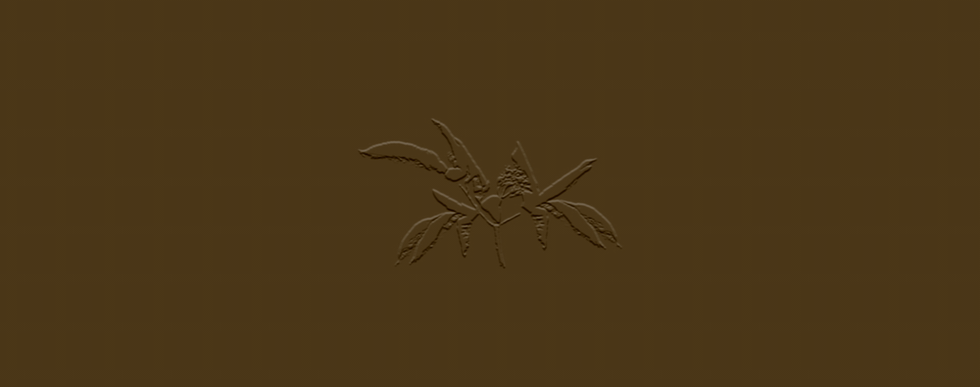 Фирменный стиль Логотип | Цветочный магазин Flower shop — Изображение №1 — Брендинг на Dprofile