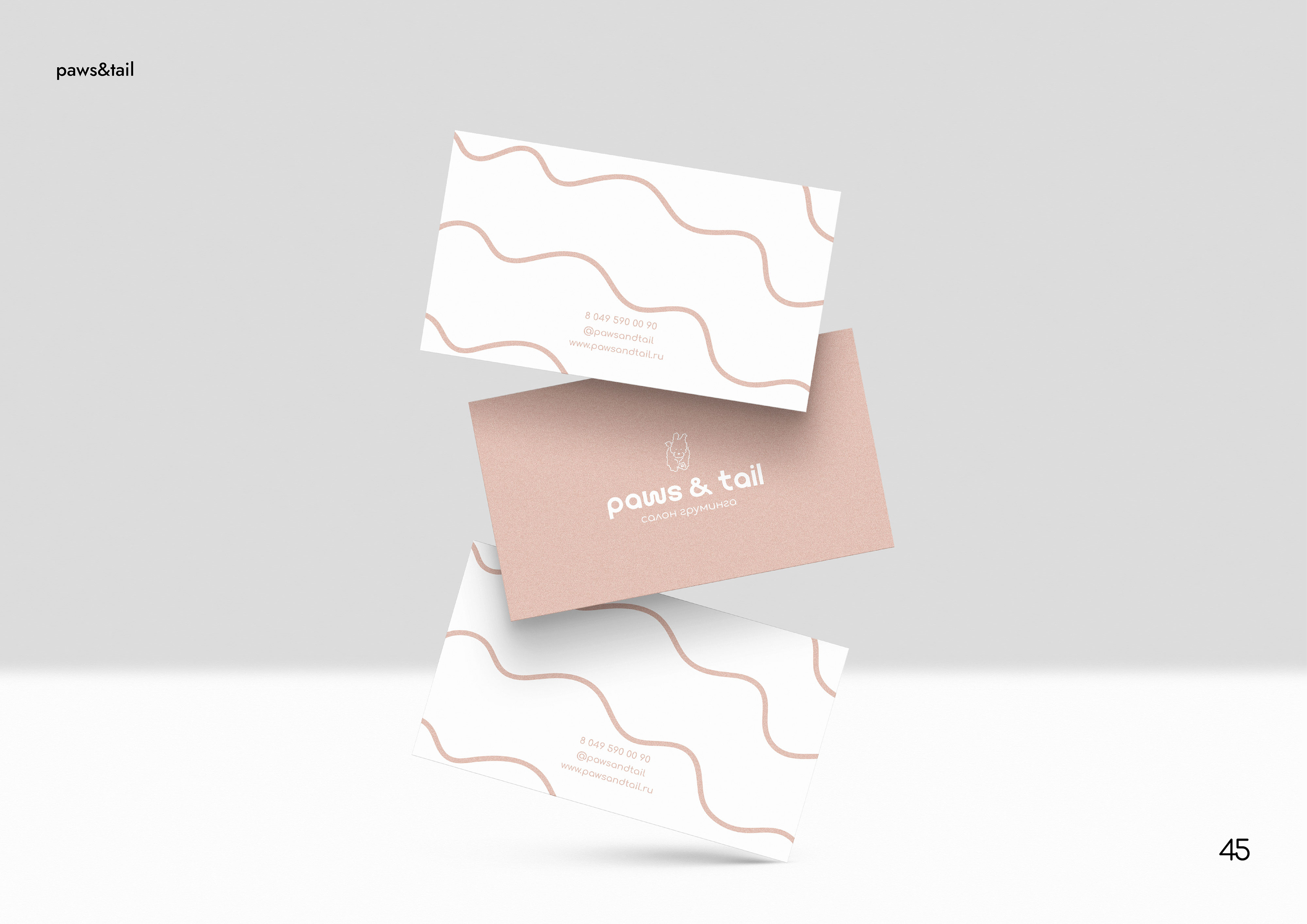 Гайдлайн | Фирменный стиль | Салон Груминга | Guidebook — Изображение №45 — Брендинг на Dprofile