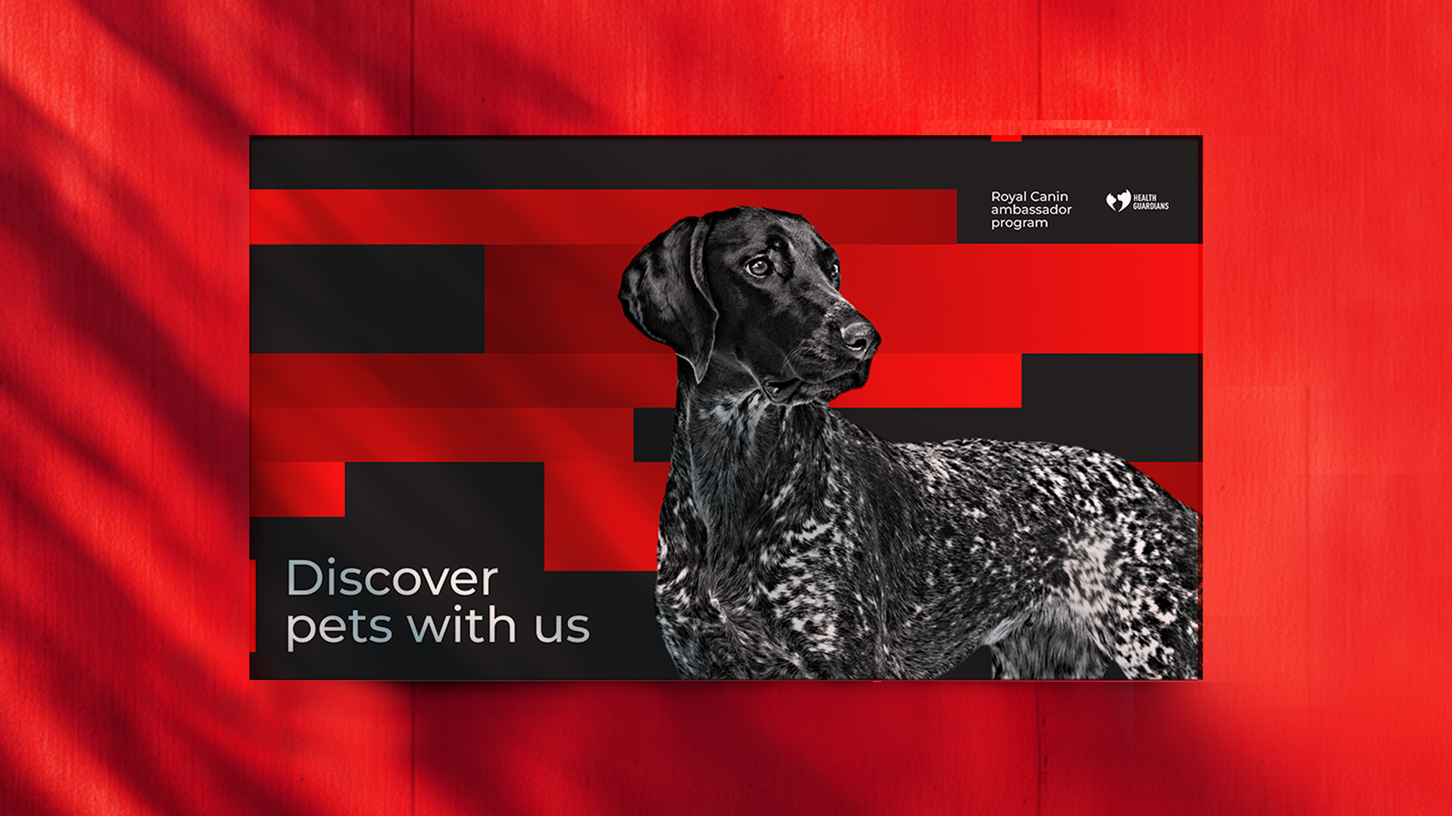 Health Guardians — Royal Canin — Изображение №6 — Брендинг, Маркетинг на Dprofile