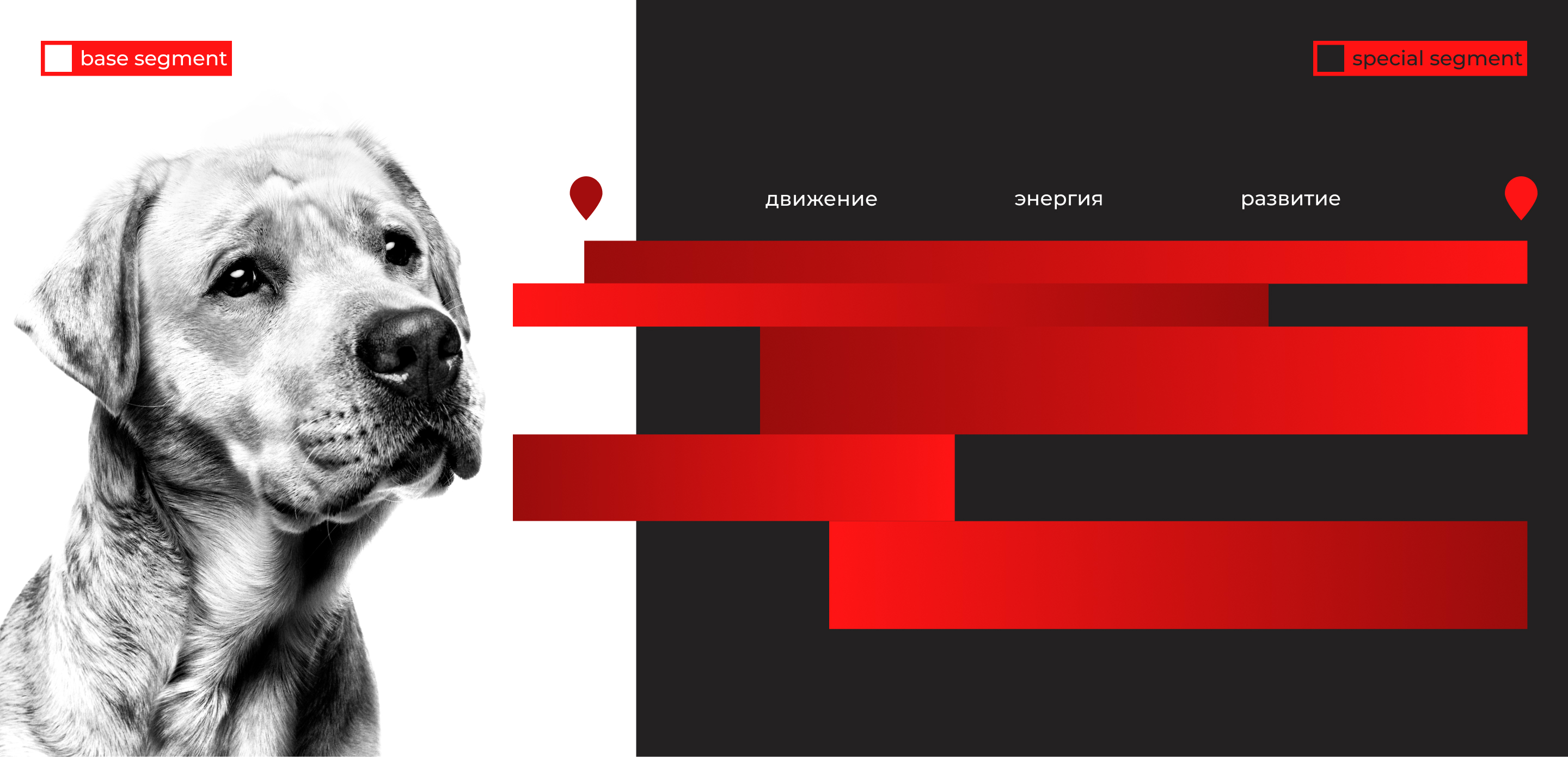 Health Guardians — Royal Canin — Изображение №3 — Брендинг, Маркетинг на Dprofile