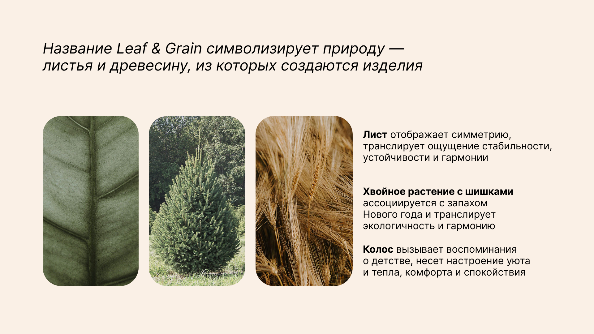 Logo design | дизайн логотипа — Изображение №4 — Брендинг на Dprofile