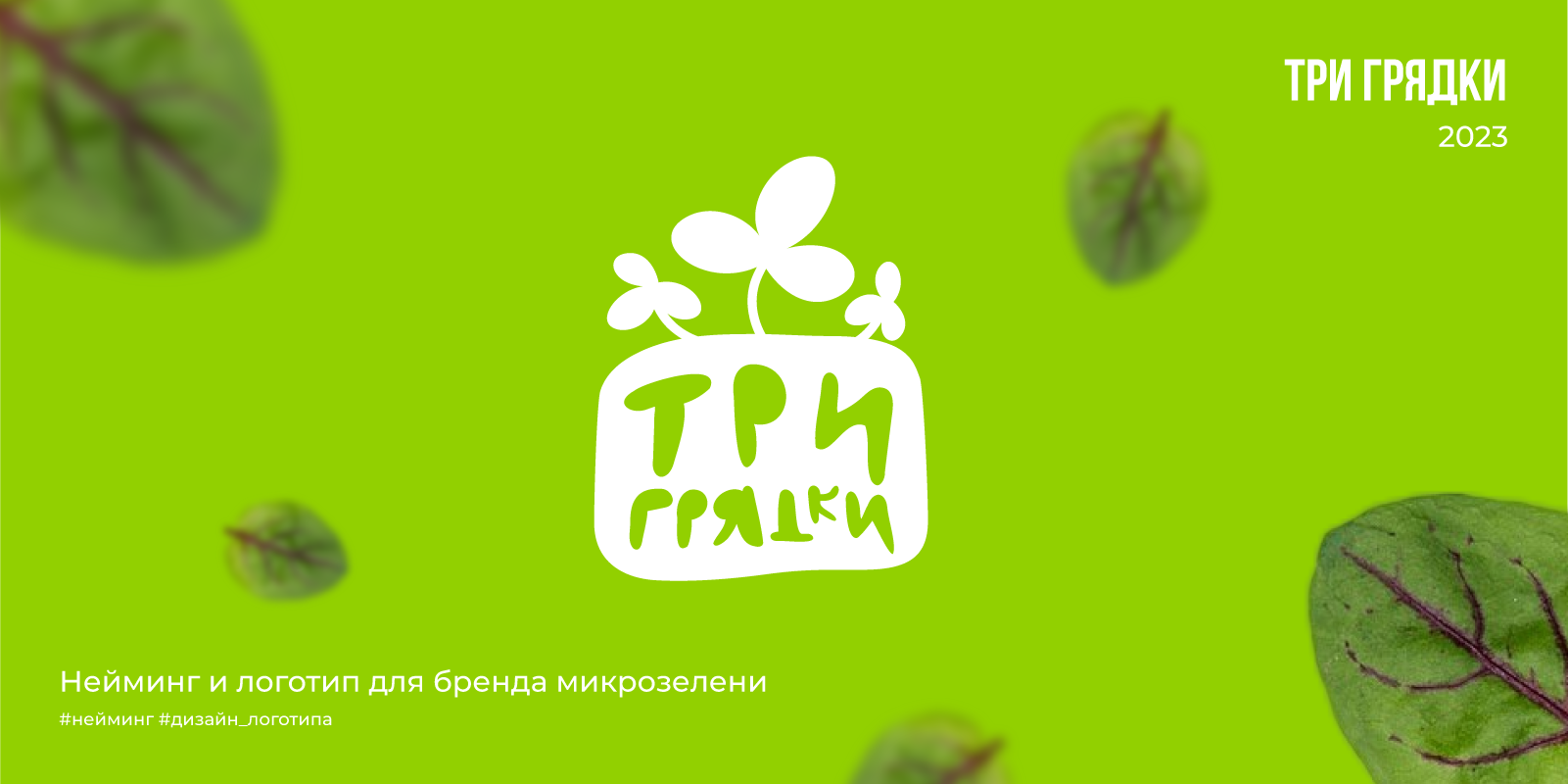 Три Грядки | 2023 — Изображение №1 — Брендинг на Dprofile