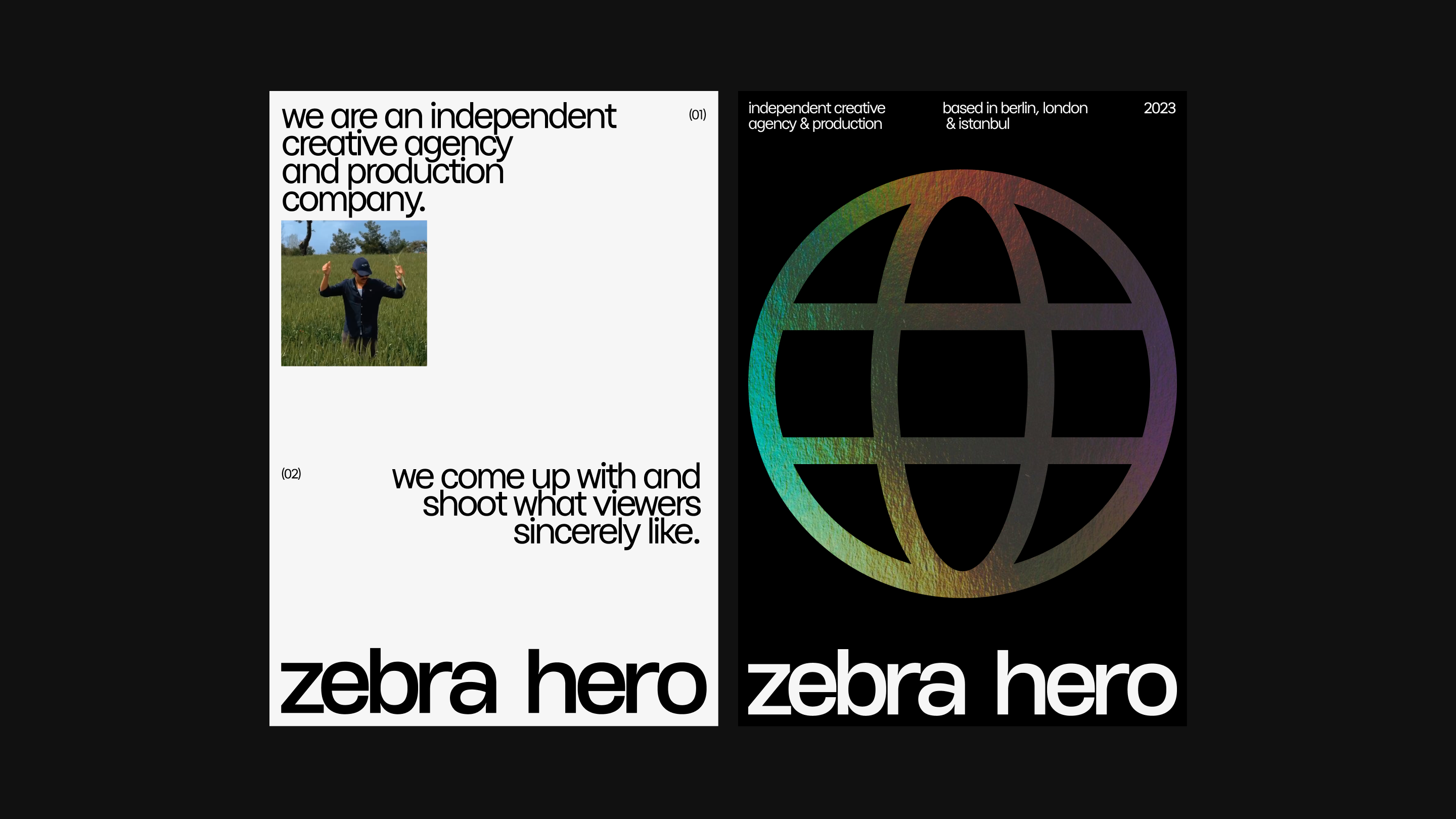 Zebra Hero Global — Изображение №8 — Интерфейсы, Брендинг на Dprofile