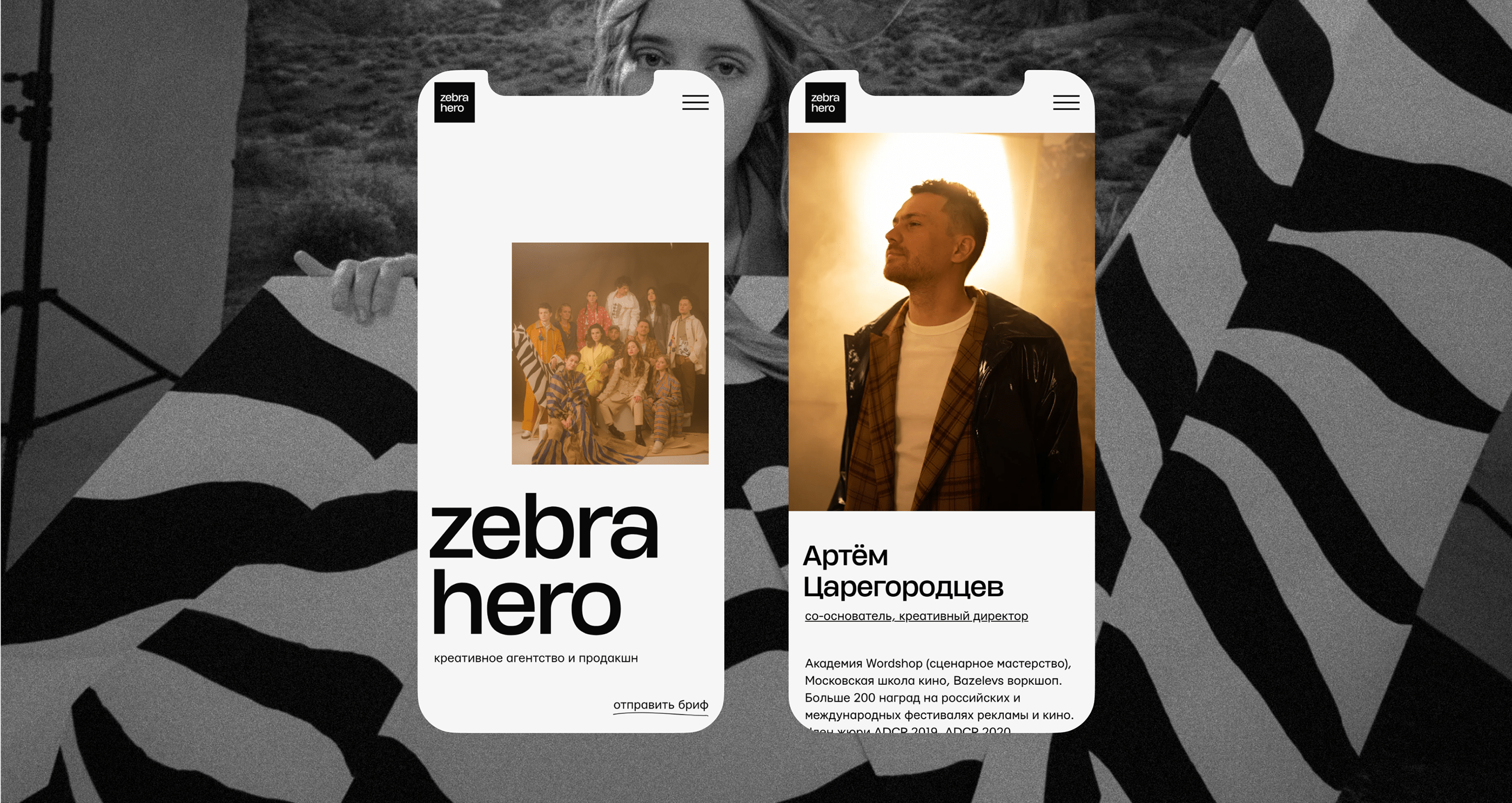 Zebra Hero — Изображение №5 — Интерфейсы, Брендинг на Dprofile