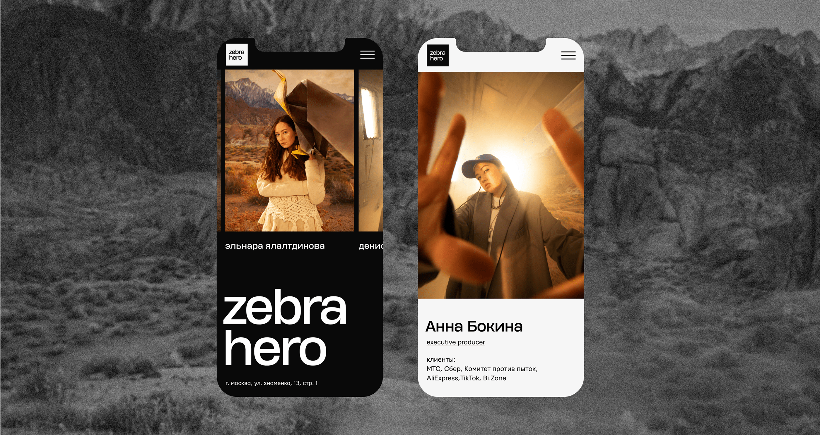 Zebra Hero — Изображение №3 — Интерфейсы, Брендинг на Dprofile