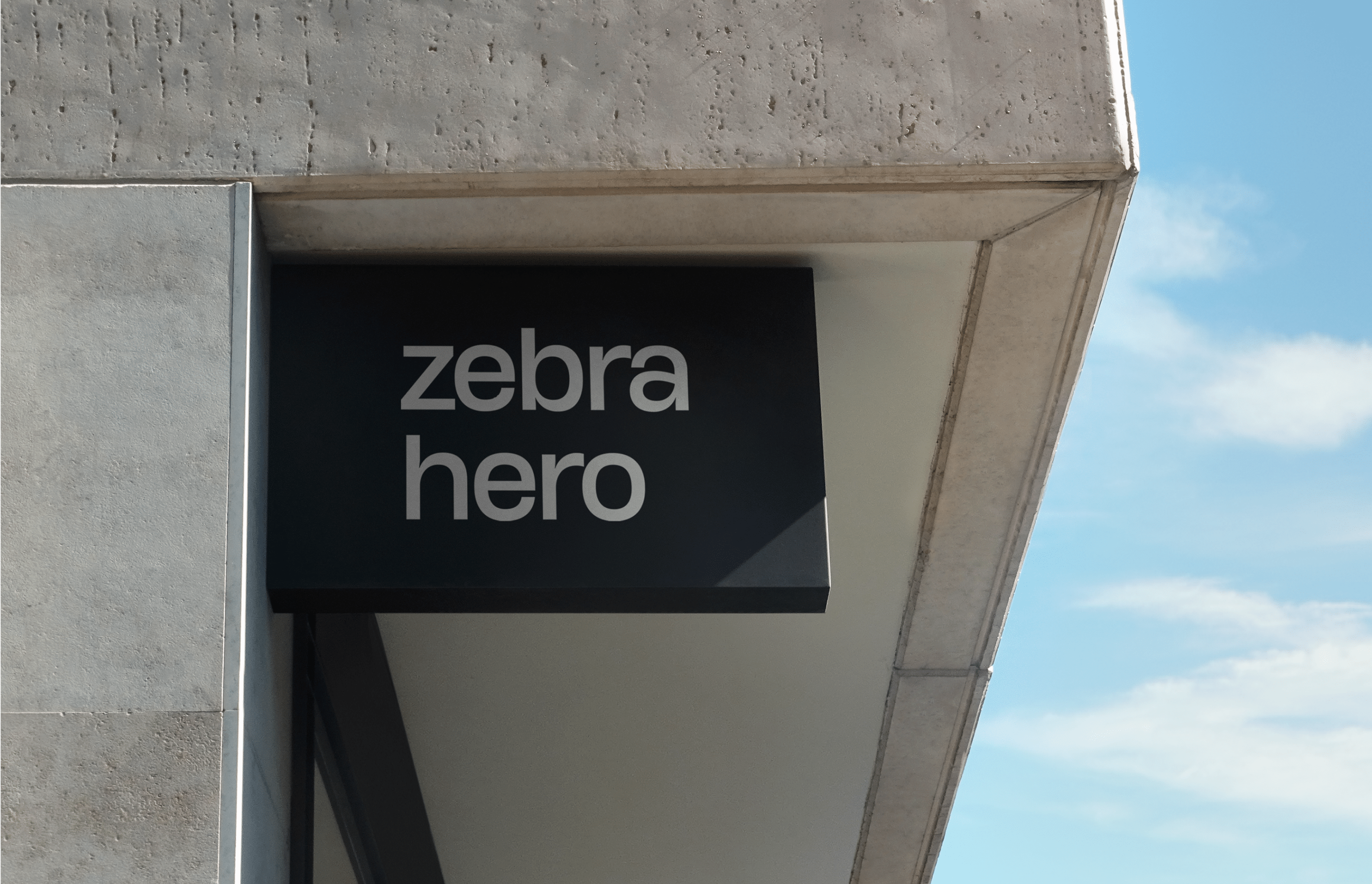 Zebra Hero — Изображение №2 — Интерфейсы, Брендинг на Dprofile