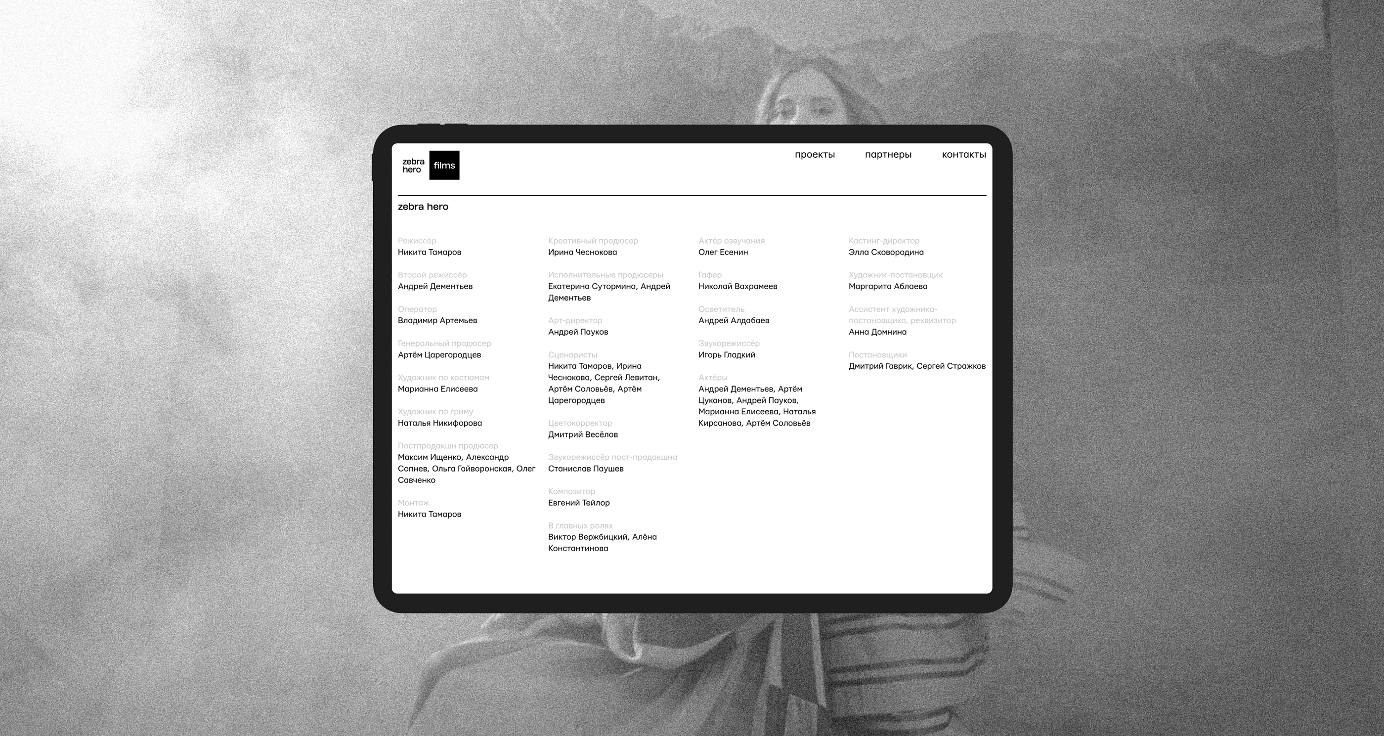 Zebra Hero — Изображение №10 — Интерфейсы, Брендинг на Dprofile