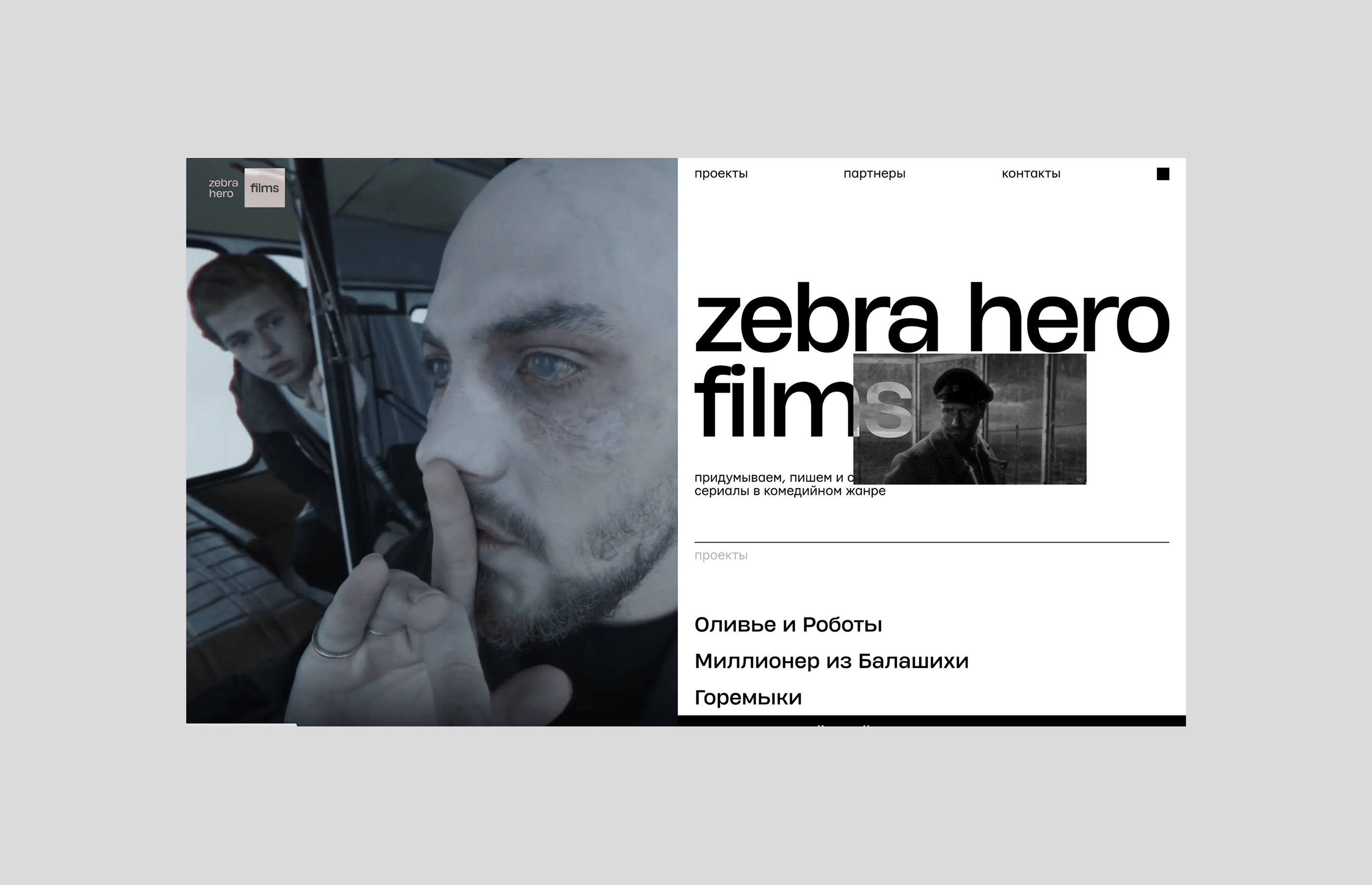Zebra Hero — Изображение №6 — Интерфейсы, Брендинг на Dprofile