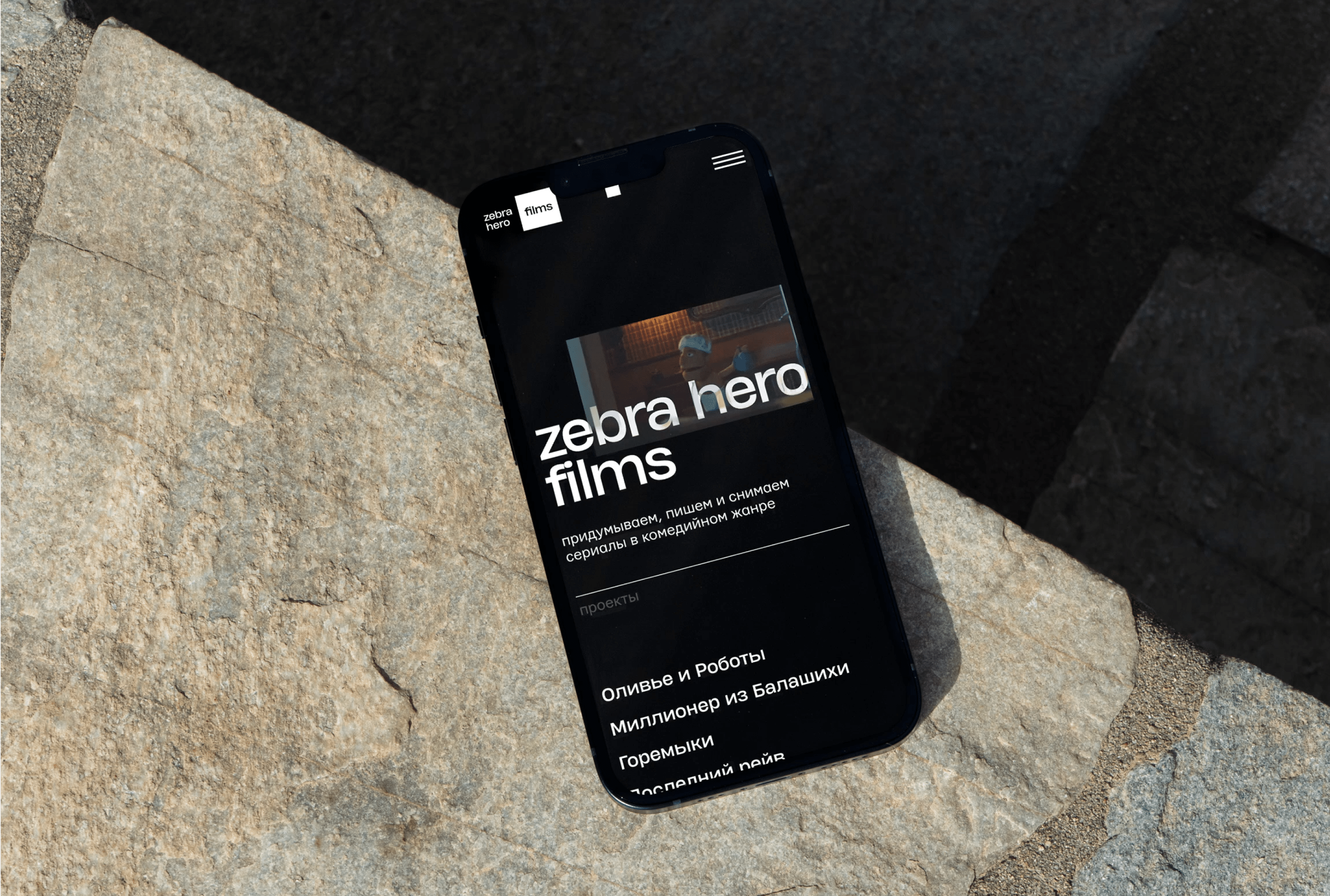 Zebra Hero — Изображение №11 — Интерфейсы, Брендинг на Dprofile