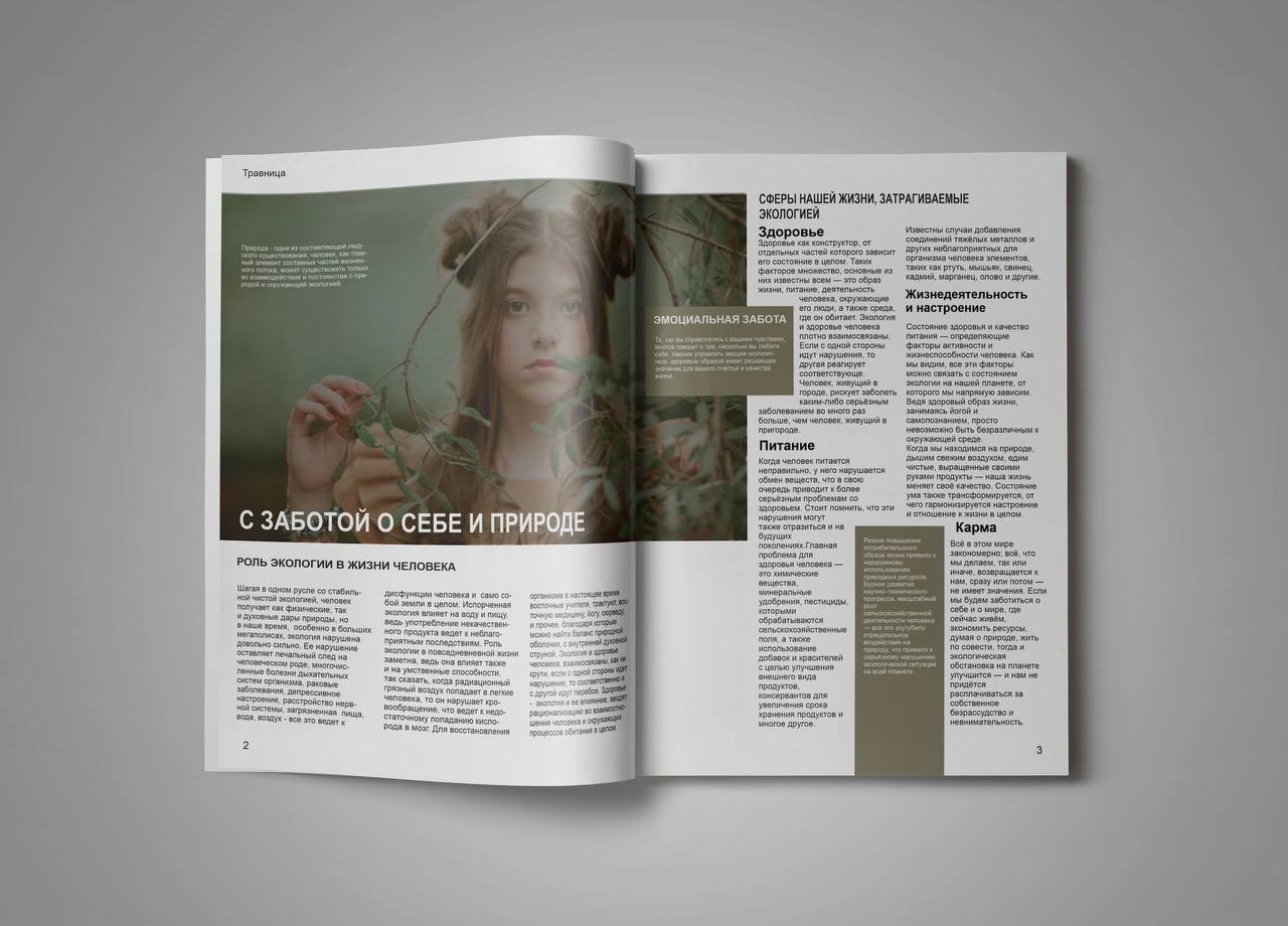 журнал "Травница" — Изображение №2 — Графика на Dprofile