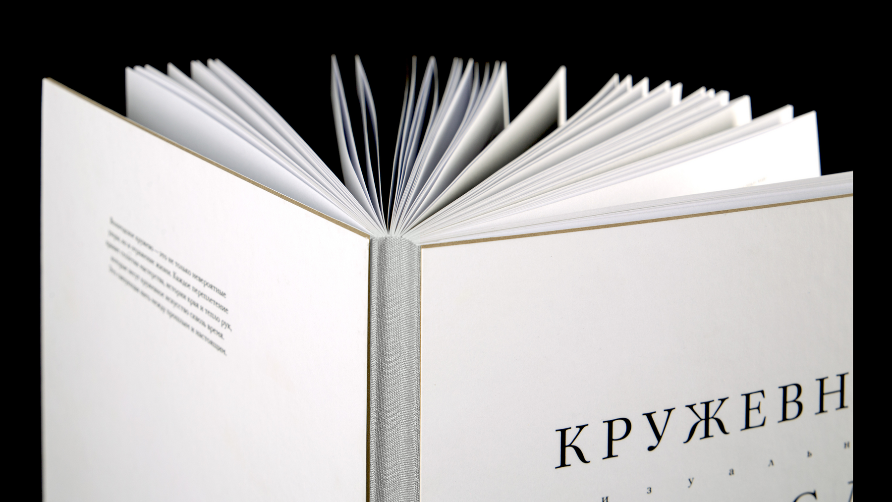 Кружевное ремесло Вологды. Визуальное исследование — Изображение №28 — Графика на Dprofile