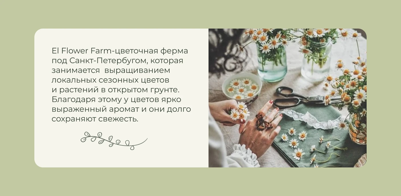 Баннеры для соцсетей El Flower Farm — Изображение №2 — Маркетинг на Dprofile