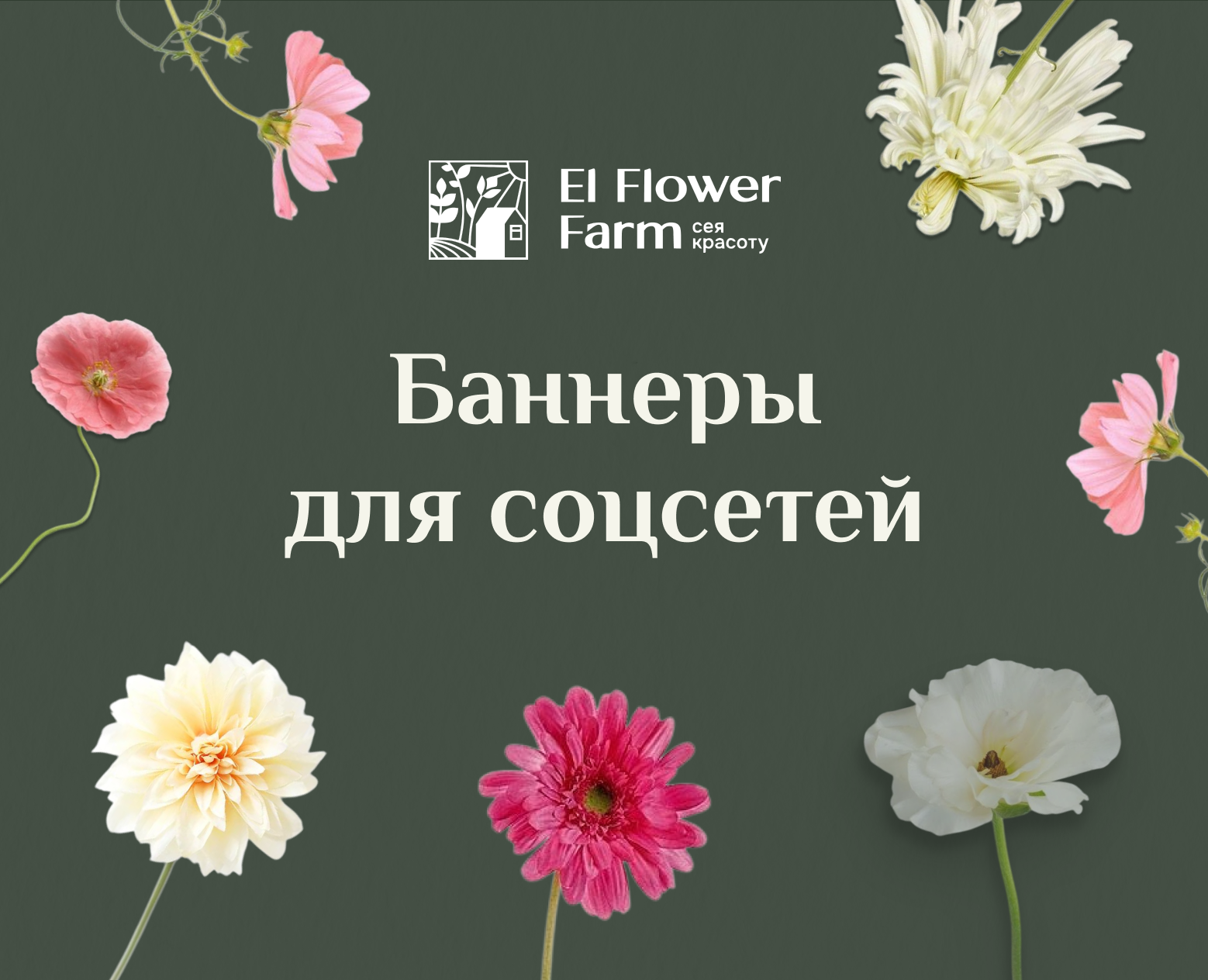 Баннеры для соцсетей El Flower Farm — Маркетинг на Dprofile