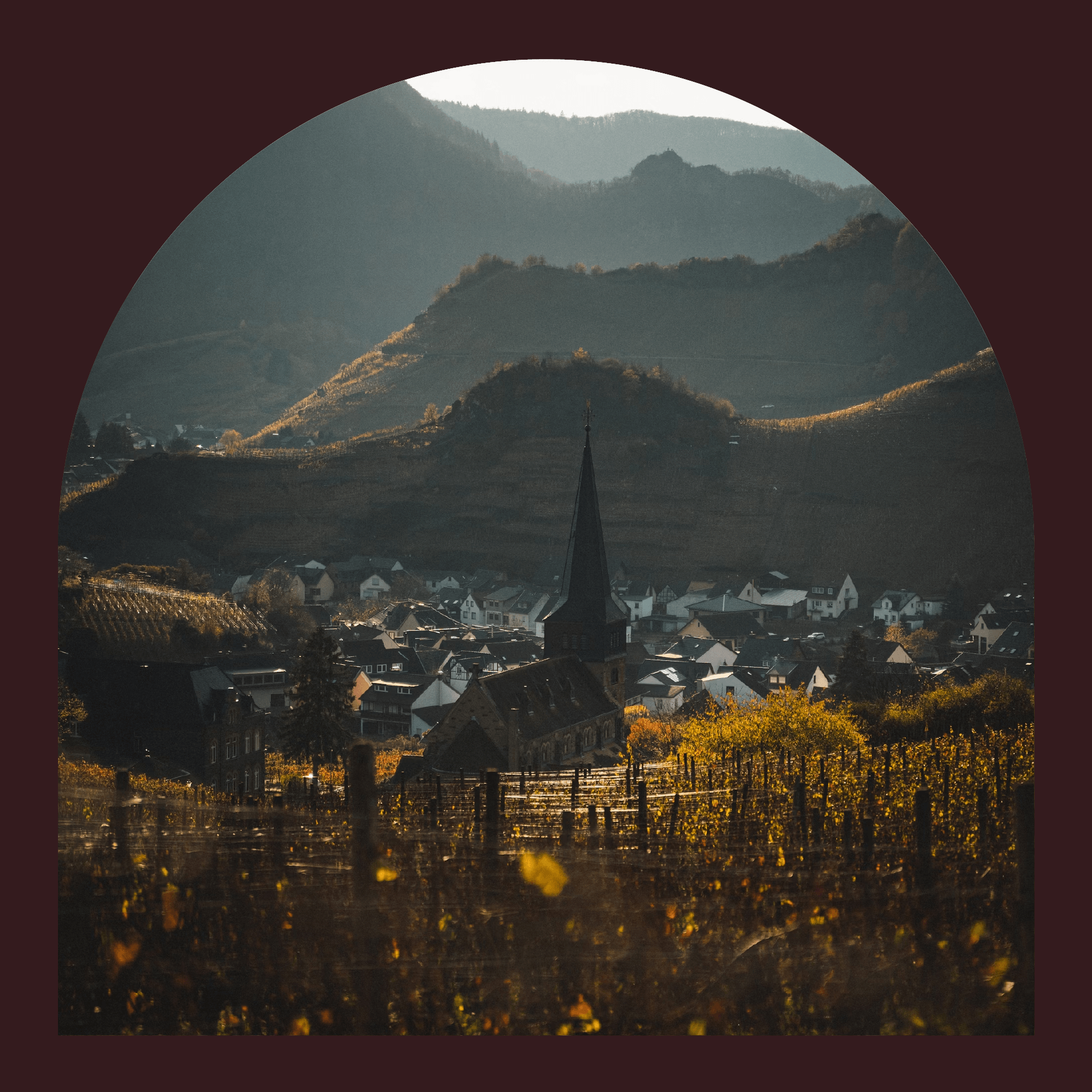 Château Miraval Winery Brand Identity / Винодельня — Изображение №4 — Брендинг на Dprofile