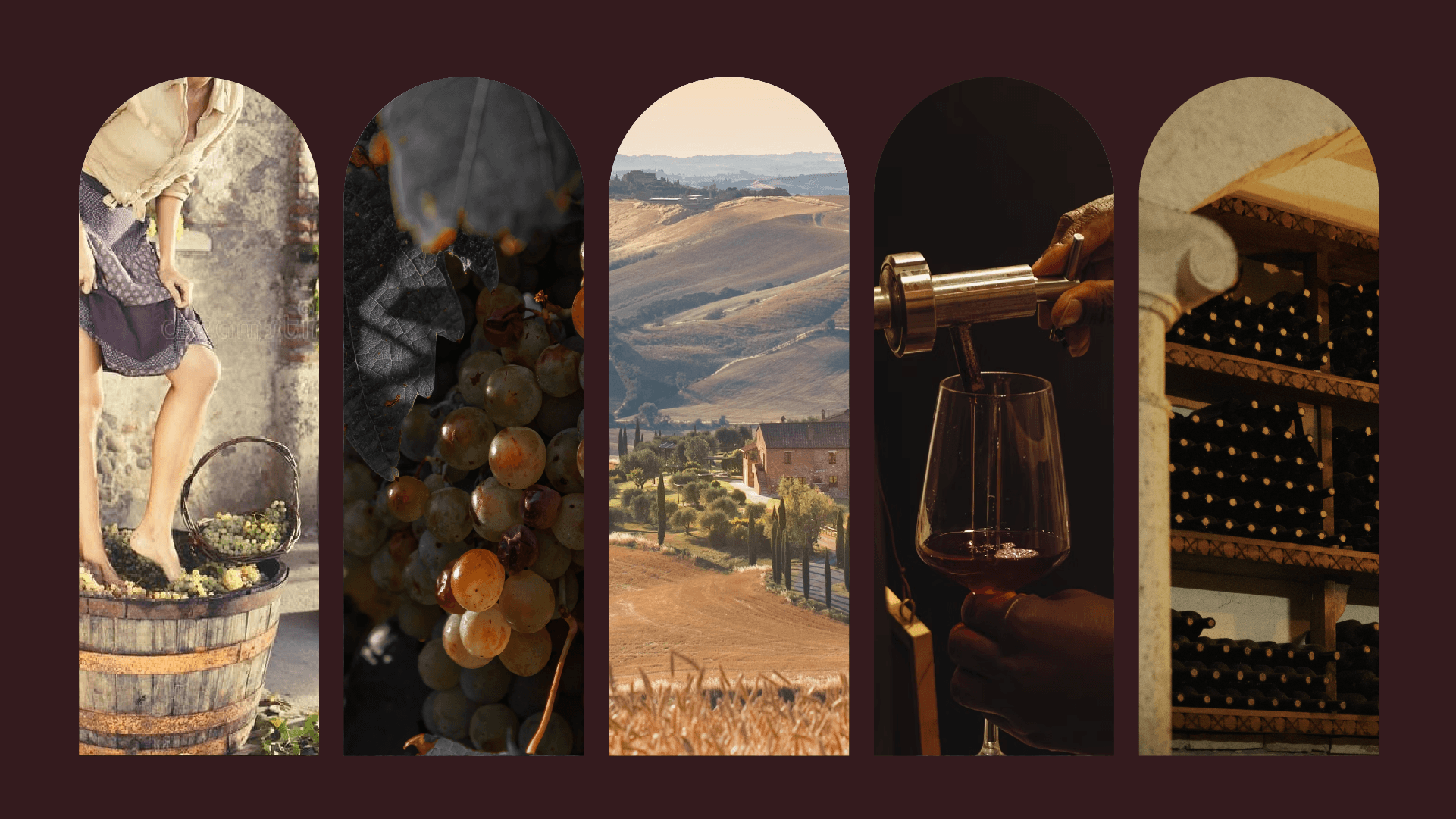 Château Miraval Winery Brand Identity / Винодельня — Изображение №2 — Брендинг на Dprofile