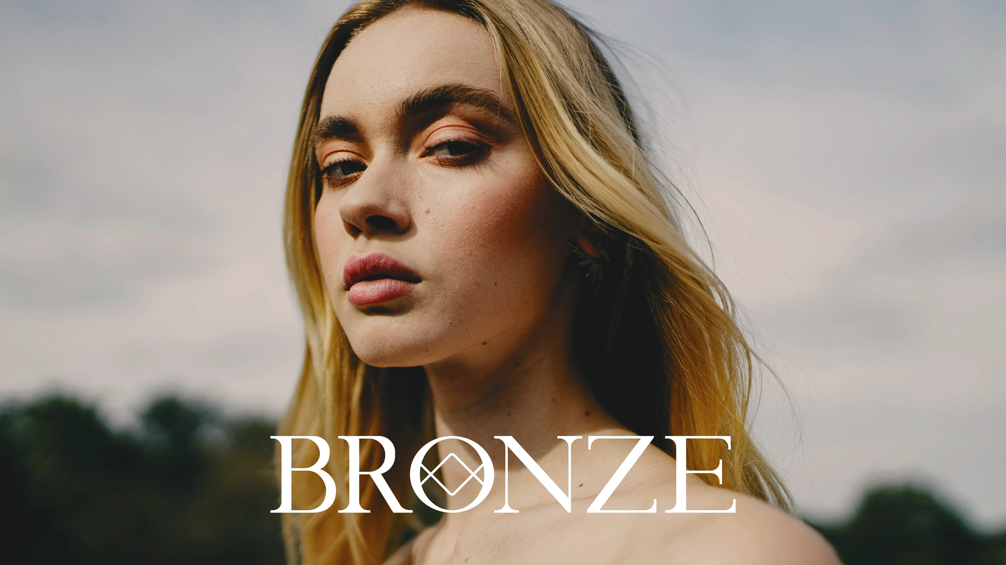 BRONZE | фирменный стиль | visual identity — Изображение №1 — Брендинг, Графика на Dprofile