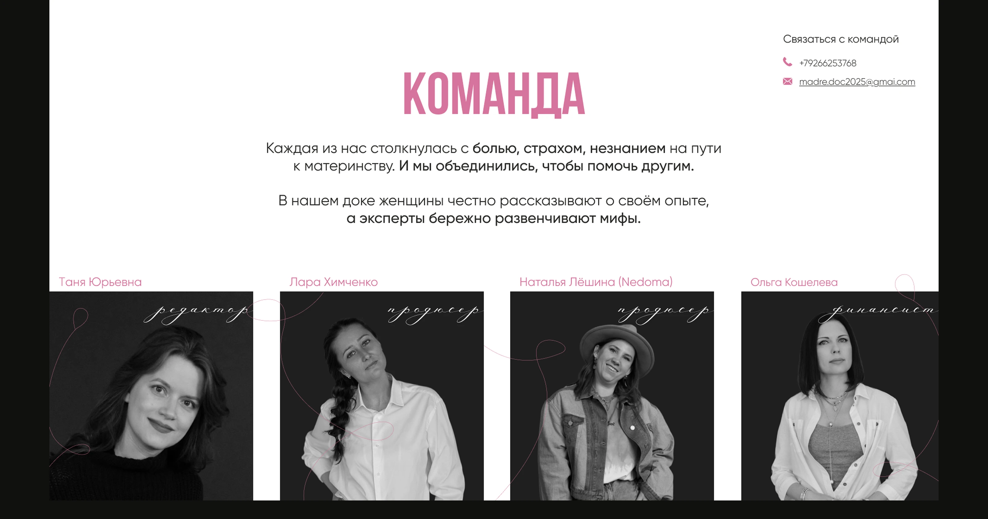 Дипломный проект для школы продюсеров Николая Картозии — Изображение №3 — Маркетинг на Dprofile