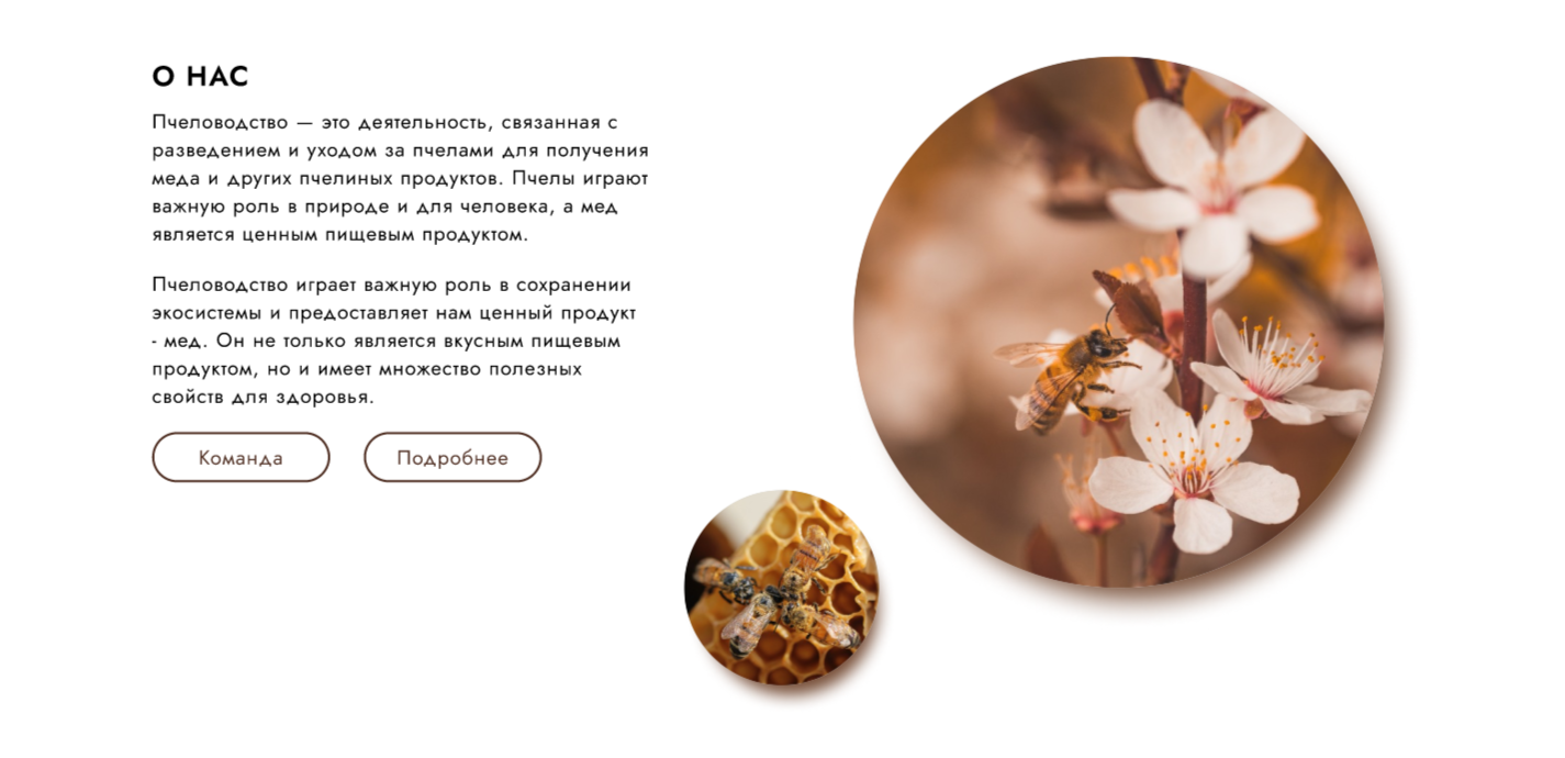 Пчелиная продукция — Изображение №2 — Интерфейсы на Dprofile
