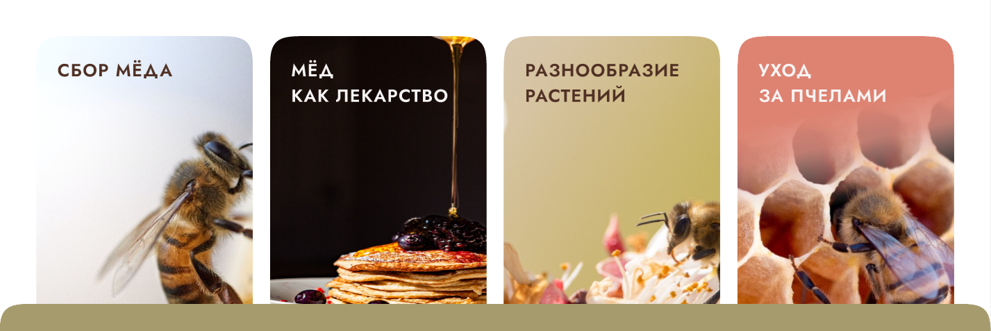 Пчелиная продукция — Изображение №3 — Интерфейсы на Dprofile