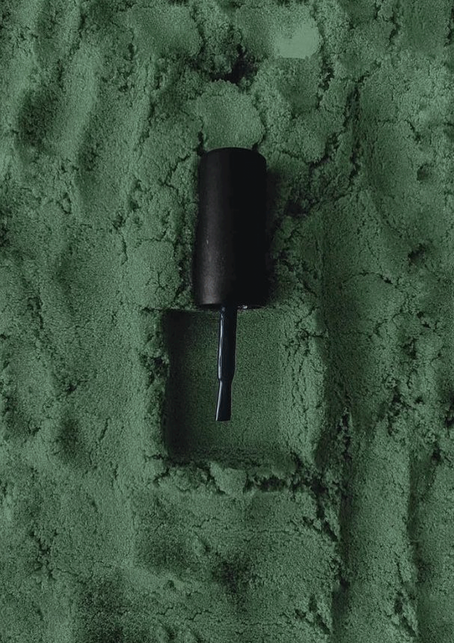 Логотип и Фирменный стиль для ногтевого мастера — Изображение №4 — Брендинг, Анимация на Dprofile