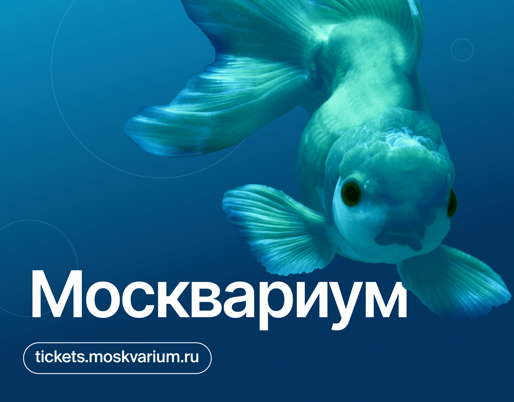 tickets.moskvarium — Изображение №2 — Интерфейсы на Dprofile