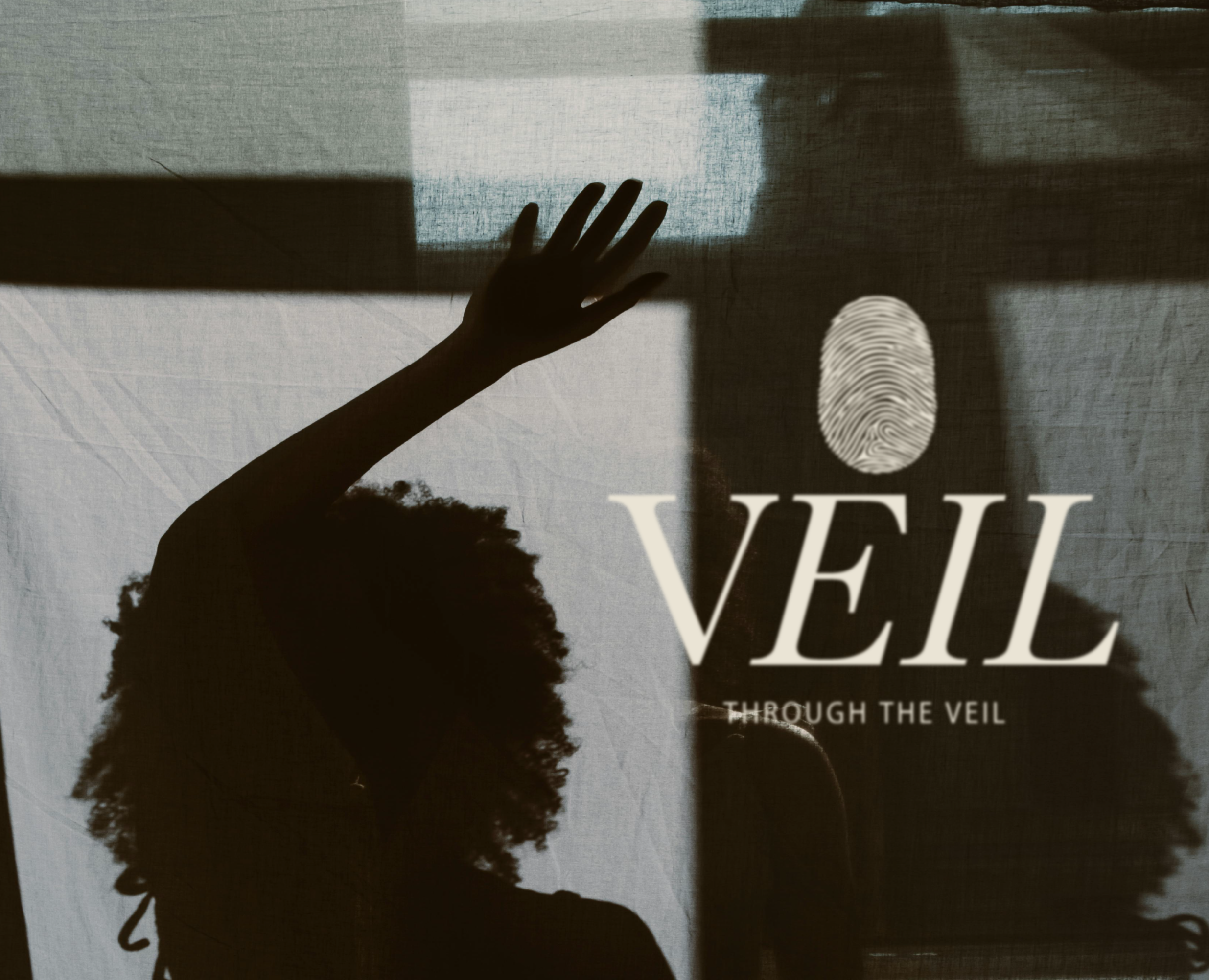 VEIL / фирменный стиль для бренда парфюмерии на Dprofile
