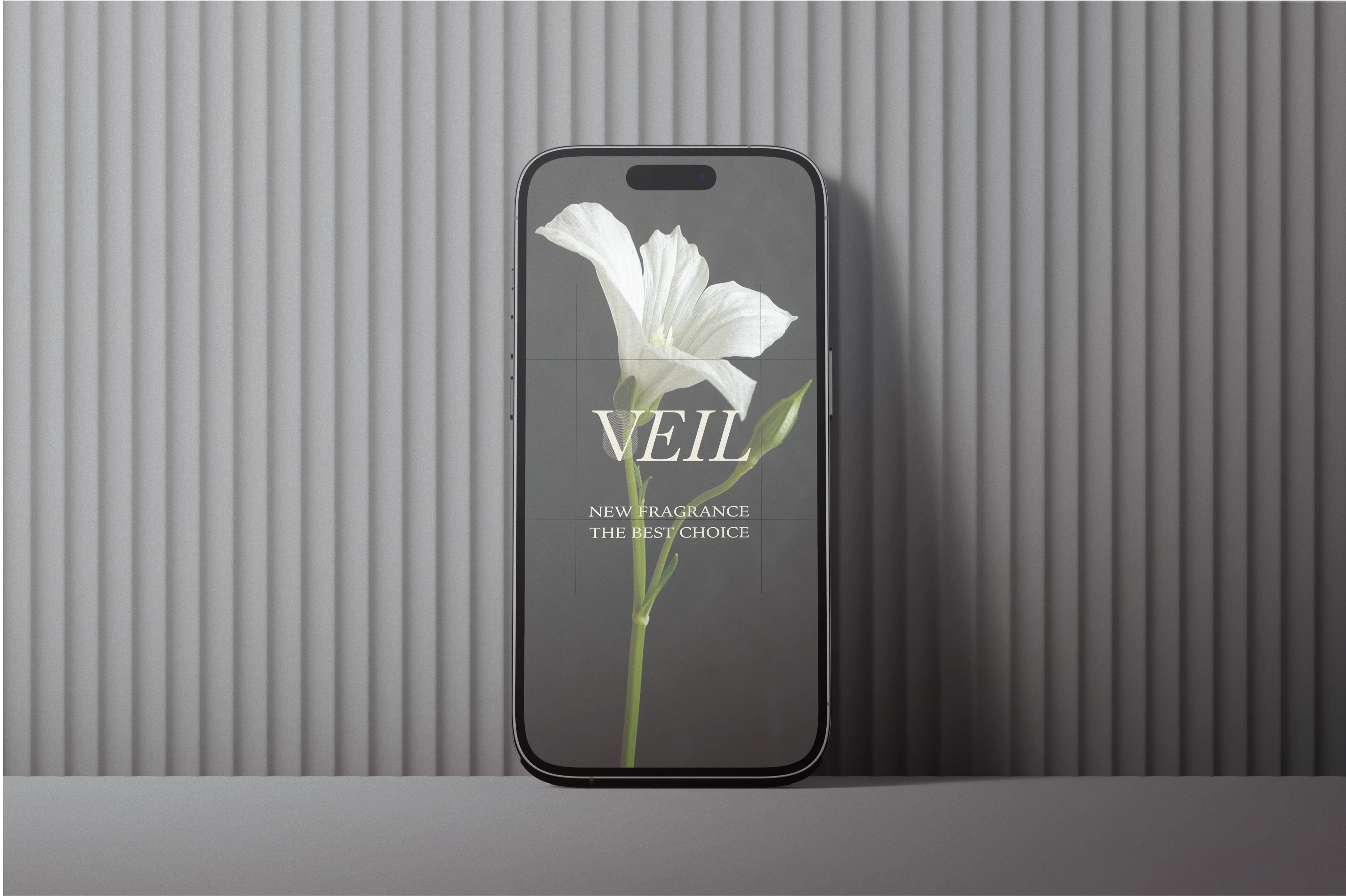 VEIL / фирменный стиль для бренда парфюмерии — Изображение №12 — Брендинг на Dprofile