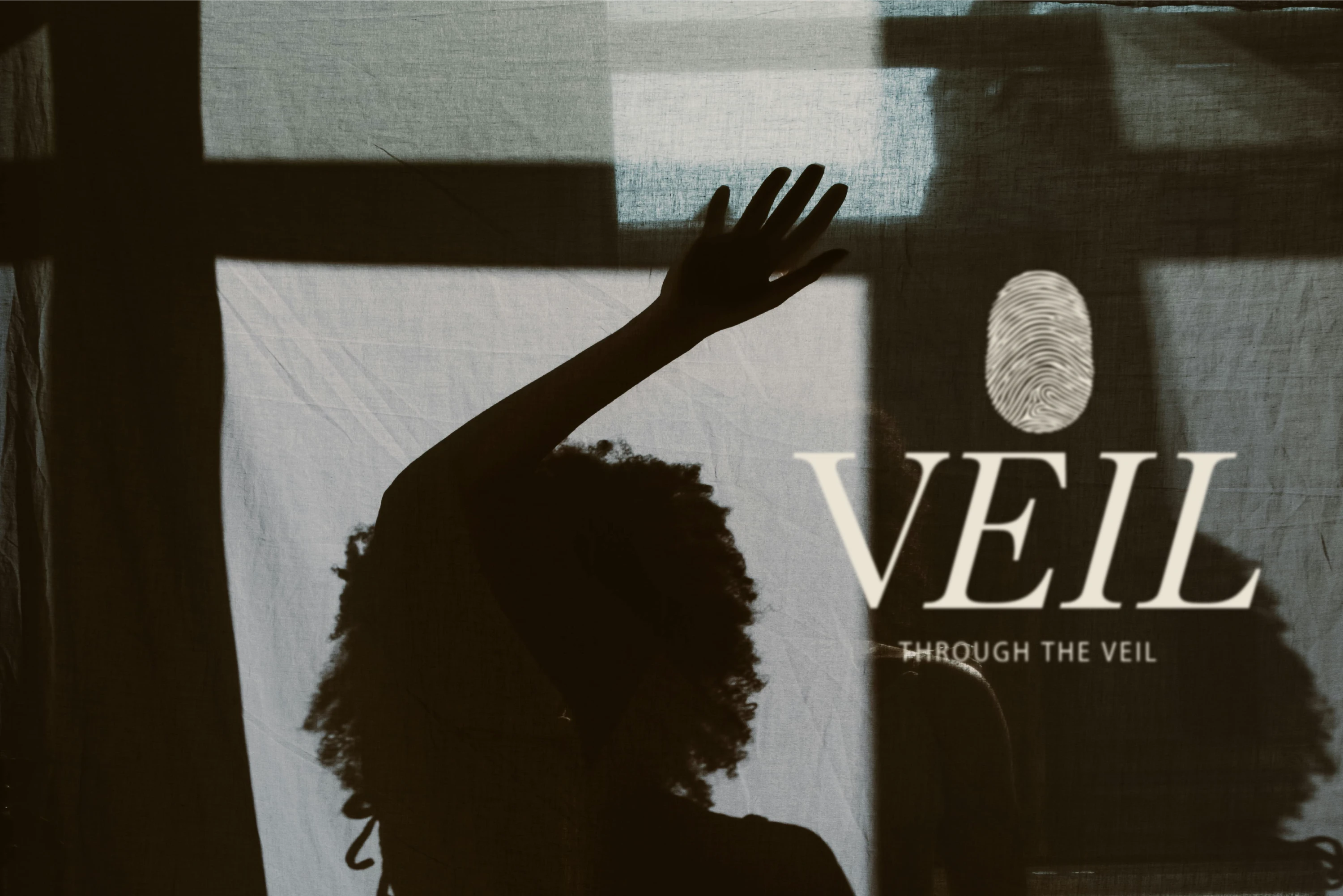 VEIL / фирменный стиль для бренда парфюмерии — Изображение №1 — Брендинг на Dprofile